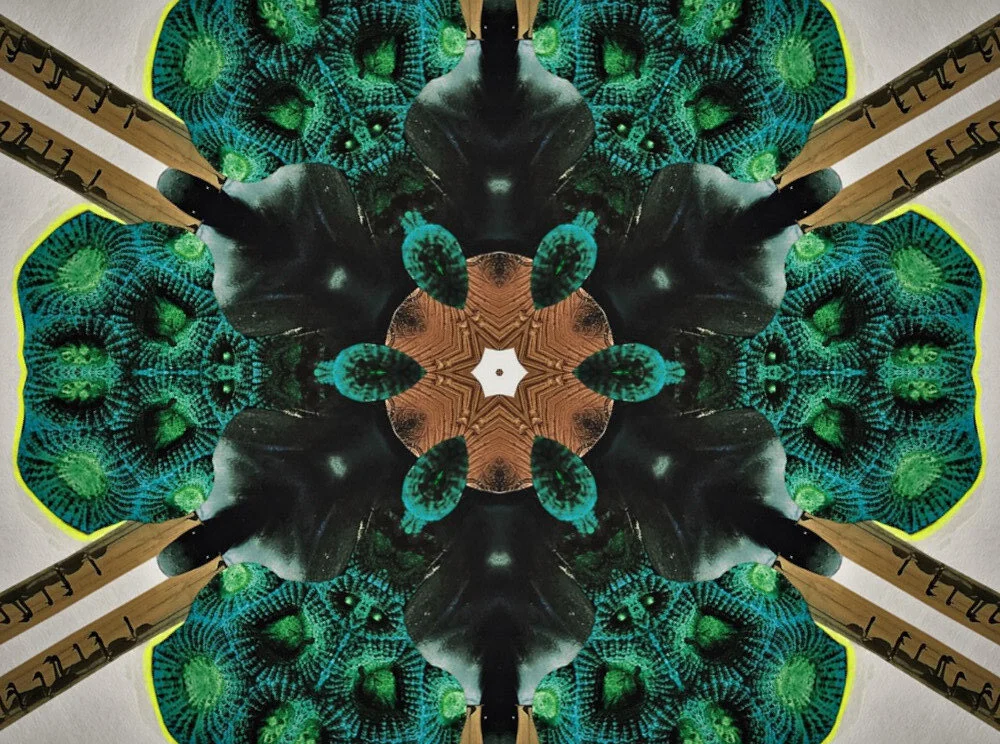 mandala7.jpg