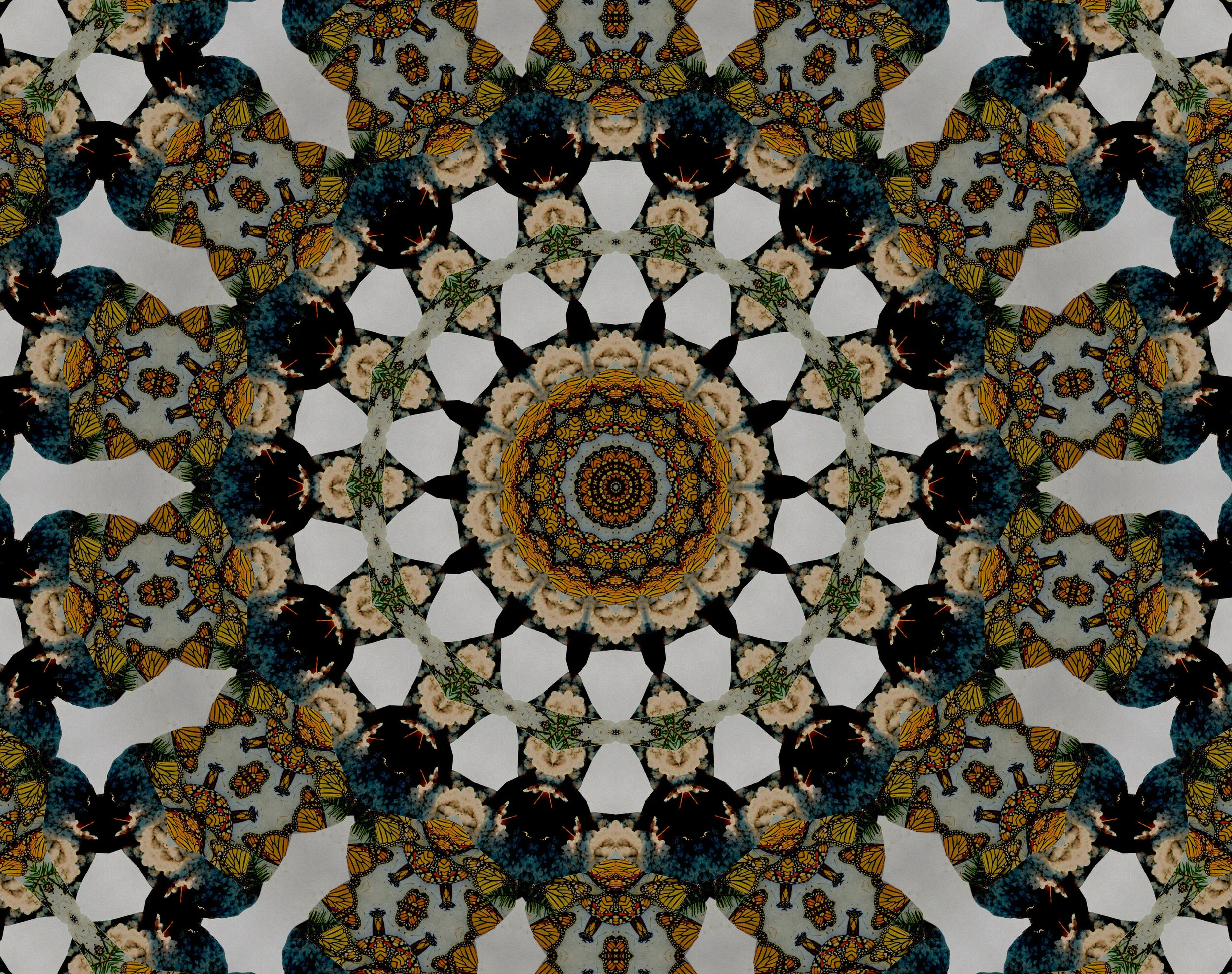mandala18.jpg