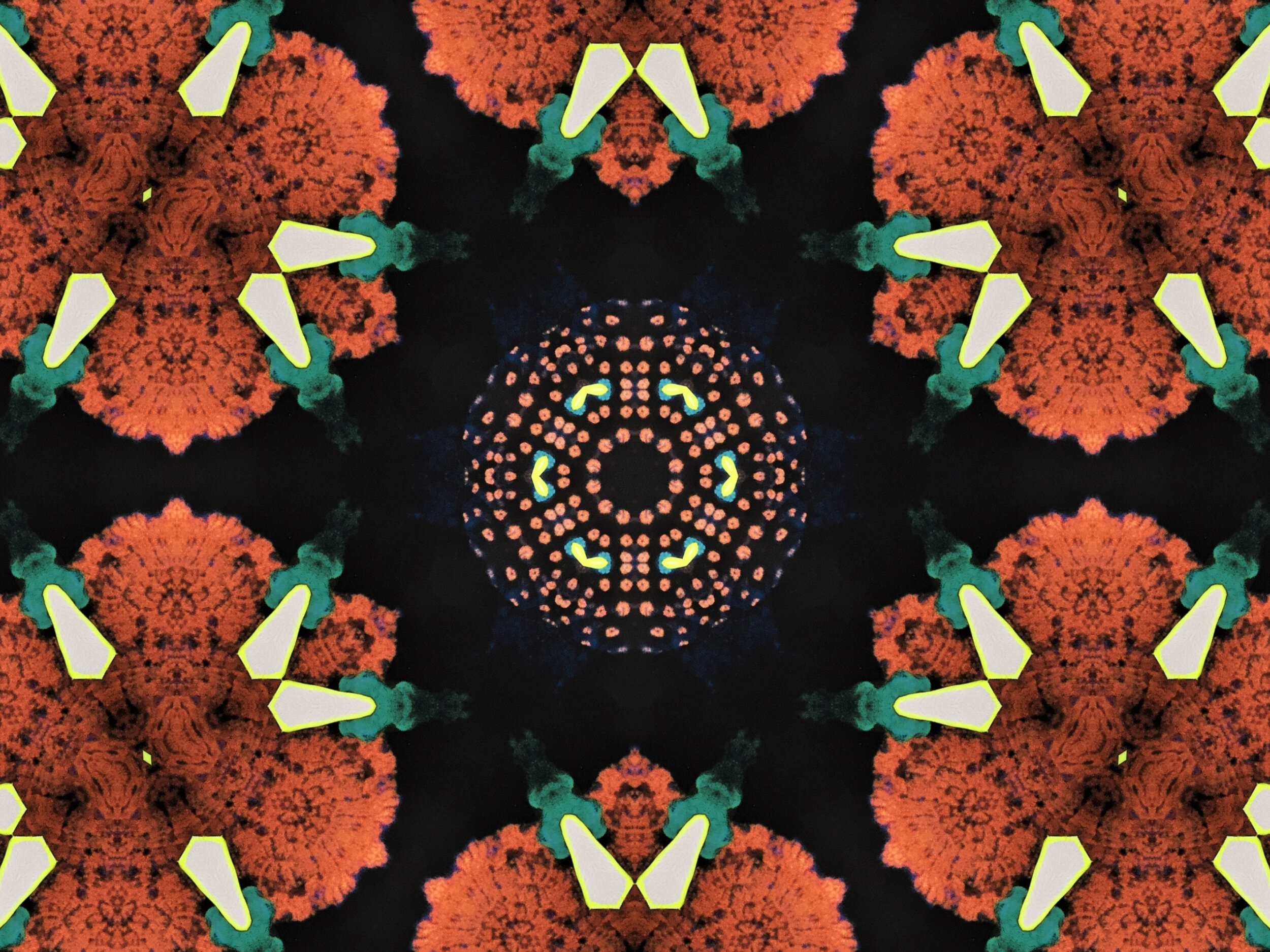 mandala2.jpg