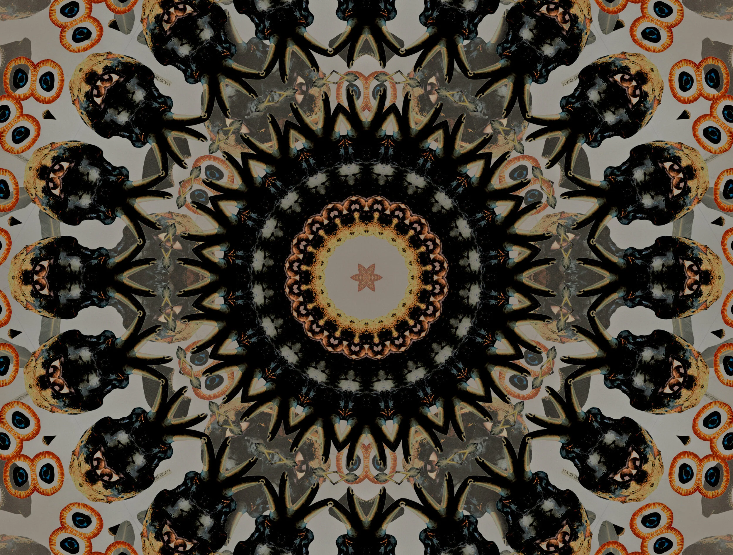 mandala20.jpg