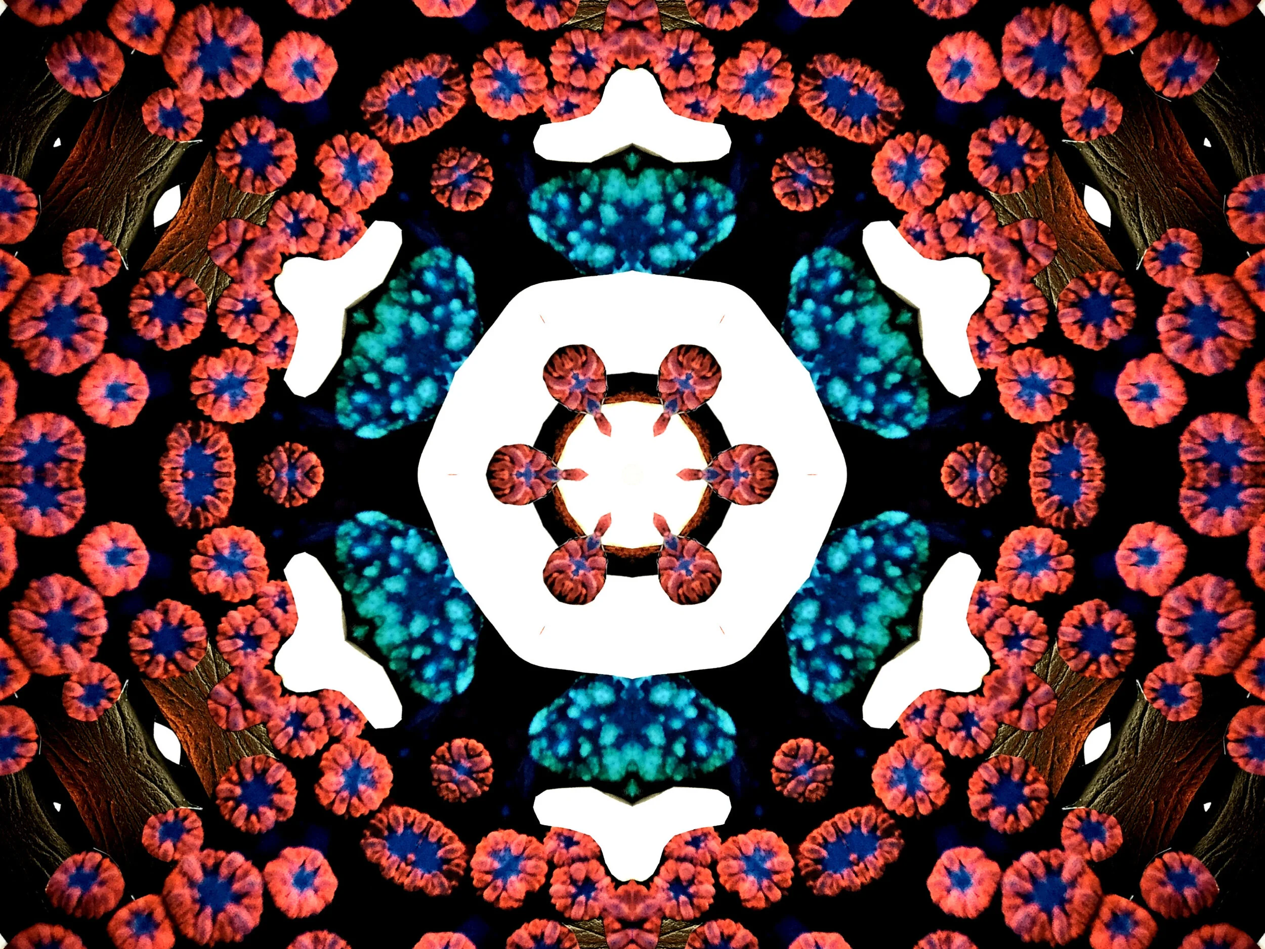 mandala1.jpg