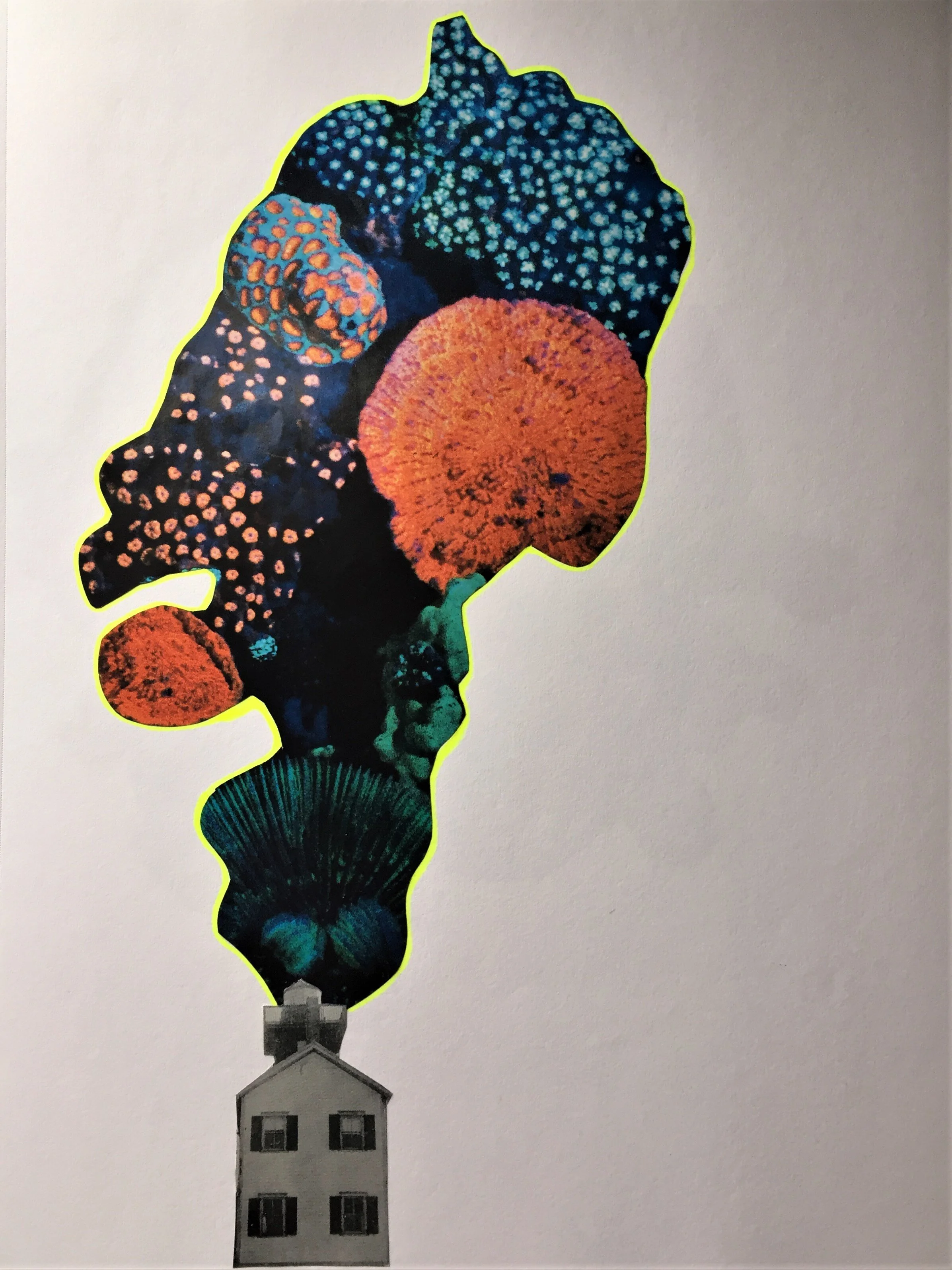 CBA94353-41B0-407D-A16C-52FAAC709D63 (2).jpeg