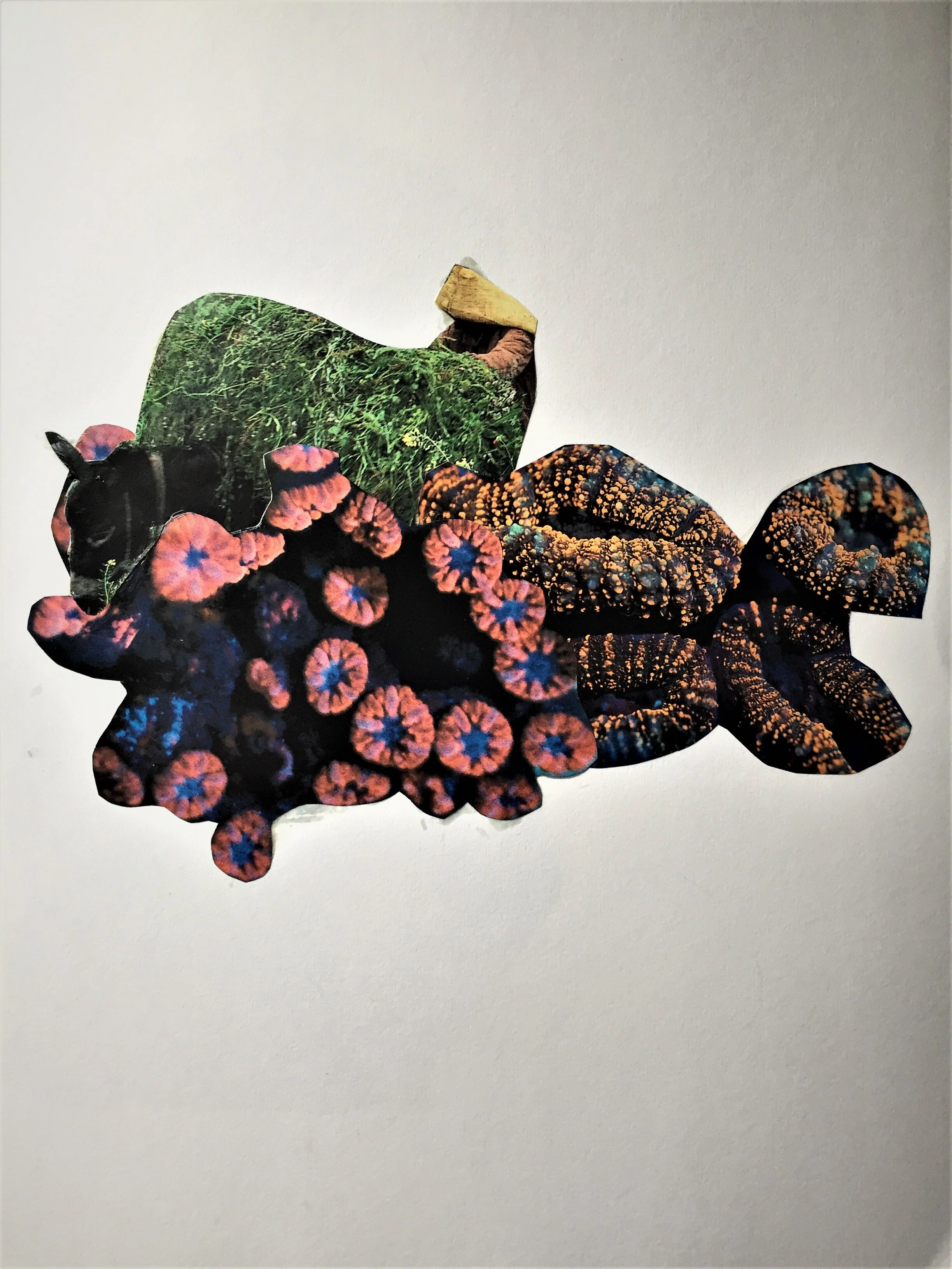 9E94A011-1C38-4B07-800D-68CAD4320DA9 (2).jpeg