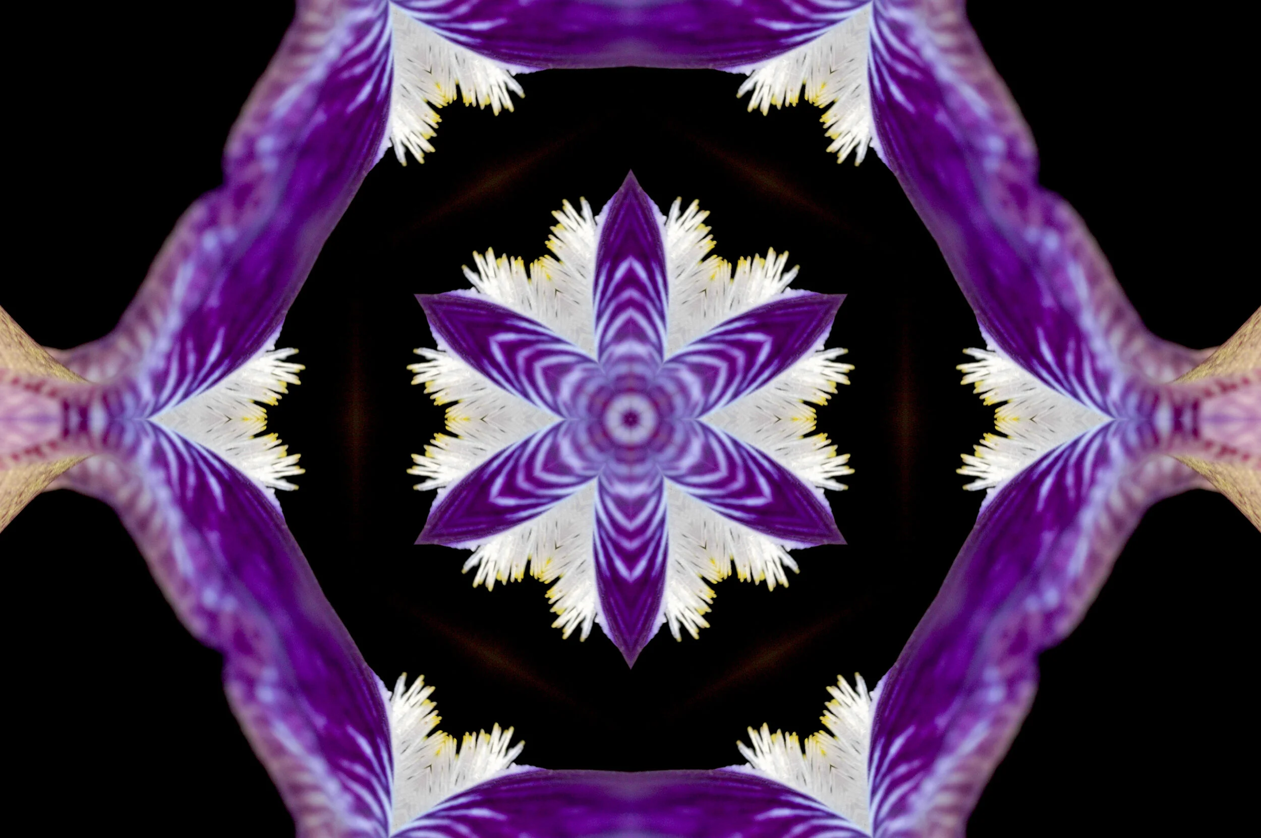 Lilac is a Name to Quantify the Mystery