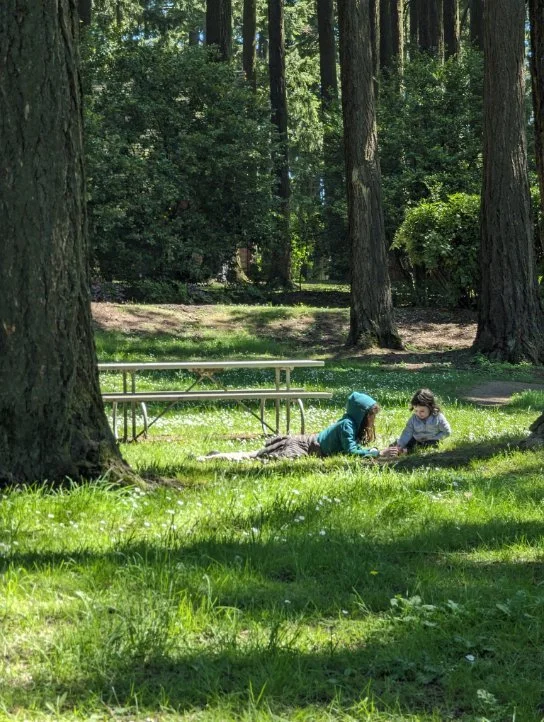 Walking with the Trees on SE Bidwell
