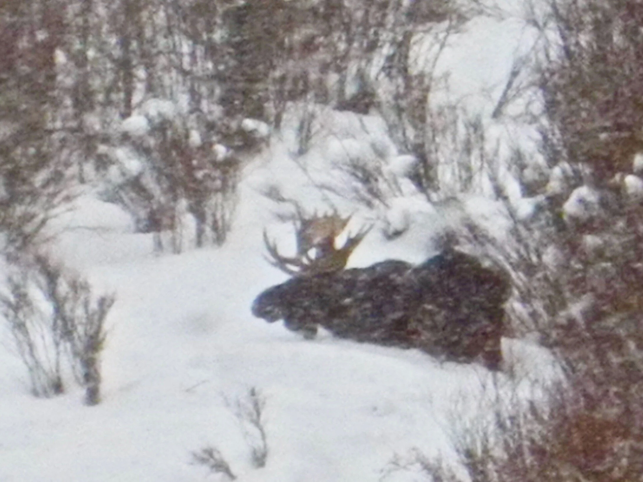 DSCN1111 - Version 2.jpeg