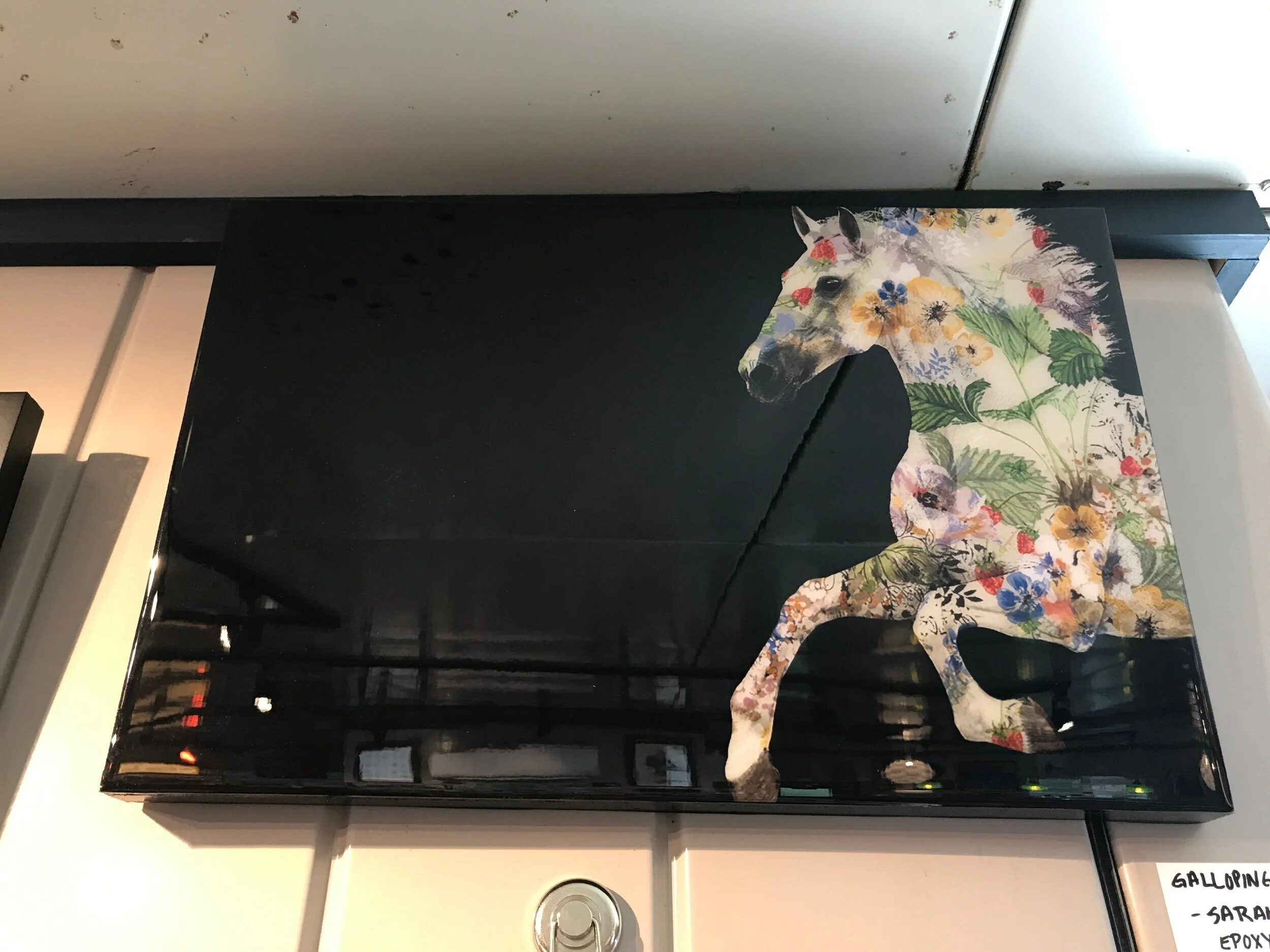 Flower+horse+run.jpg