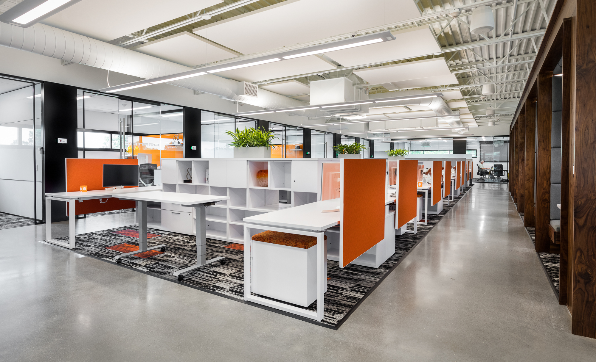 Fishtech-Websize-8975.jpg
