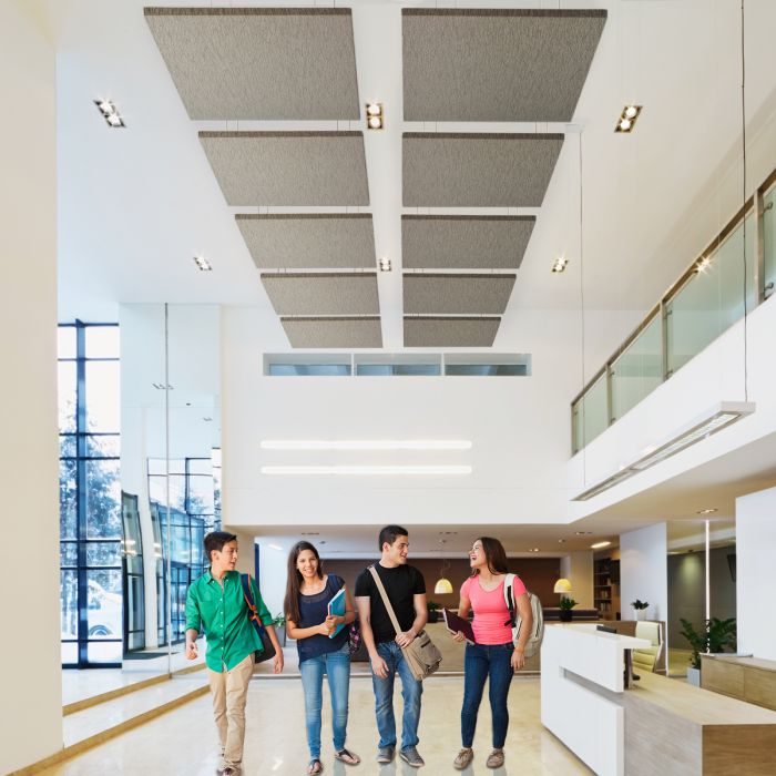Acoustic Ceiling Clouds