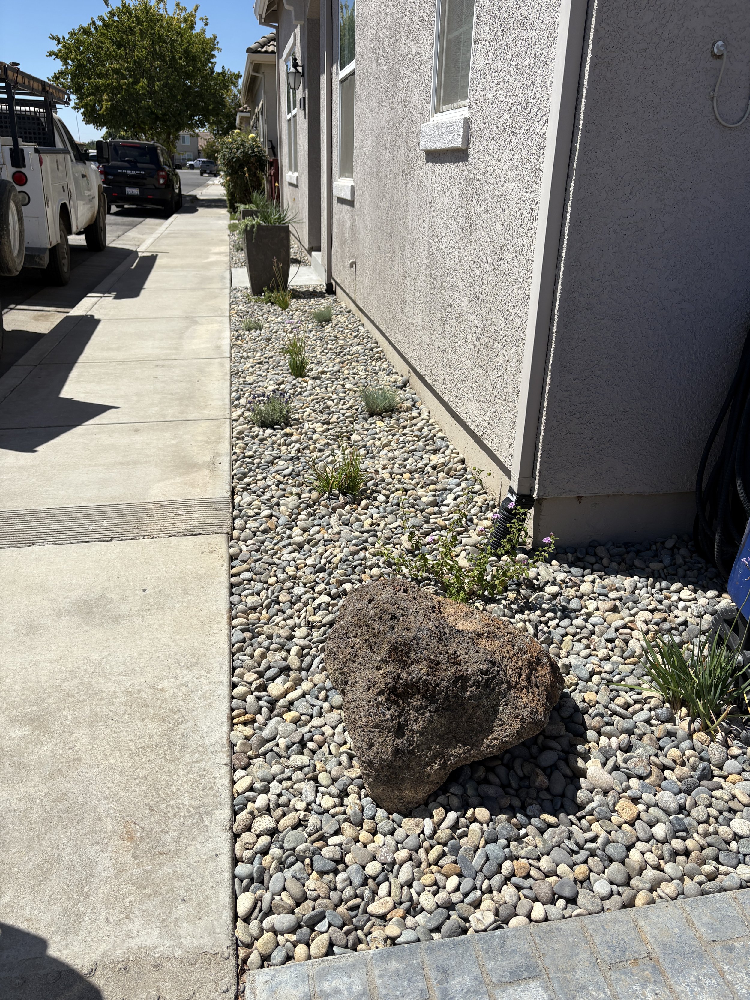 A sidewalk next to a house with a gravel yard containing a large rock and some small plants, with parked cars and trees visible in the background.