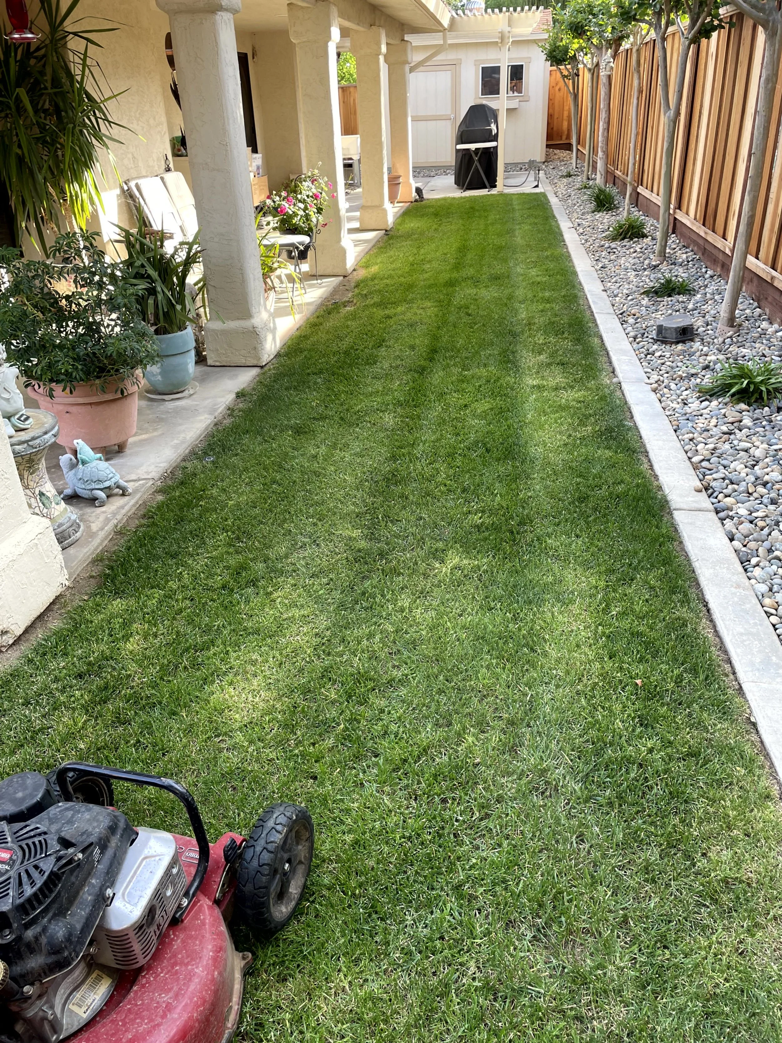 A backyard with a well-maintained lawn, potted plants along a patio, a small shed, and a stone pathway with a wooden fence on the right side.