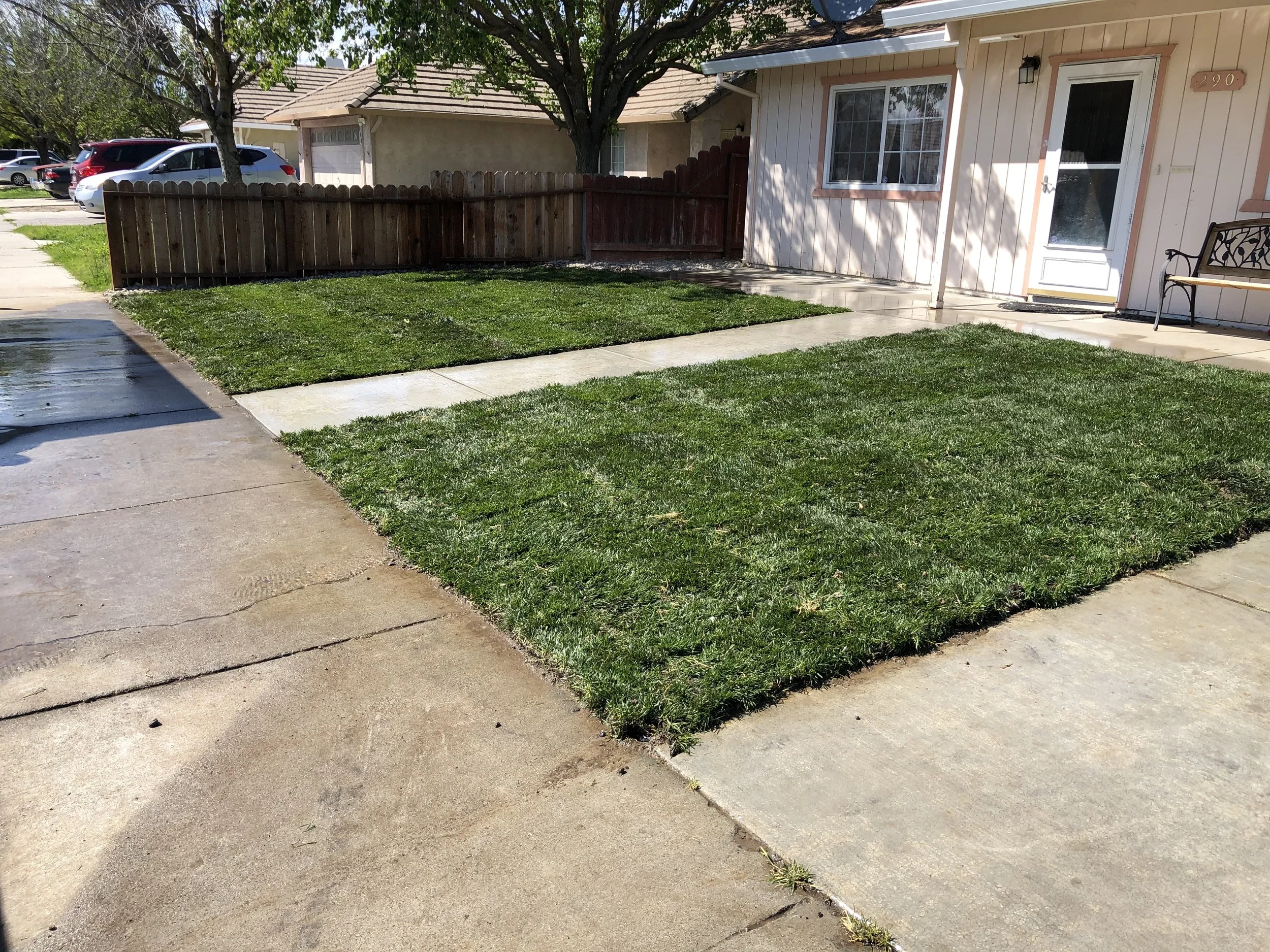 Residential front yard with green grass patches, concrete walkway, and driveway. A house with a white exterior and a window is visible. A black metal bench is near the door, and a wooden fence separates the yard from neighboring properties. Several p