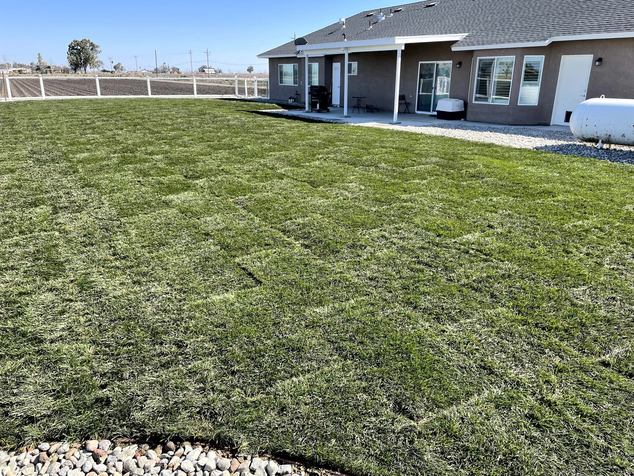 Backyard with freshly laid sod grass, white fence, and a house with a patio, grill, and propane tank.