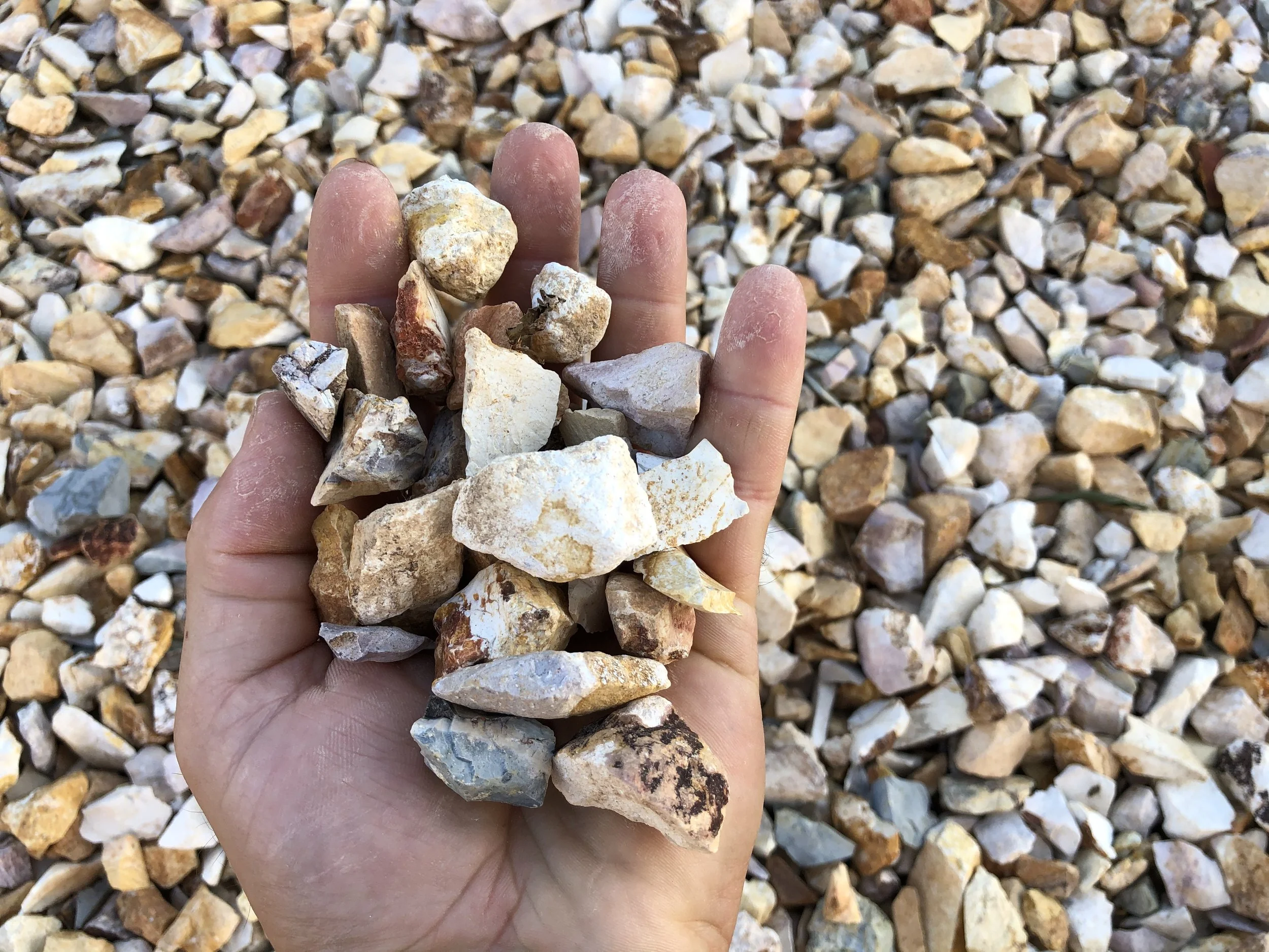 A hand holding a handful of small, irregularly shaped rocks with a background of similar rocks on the ground.