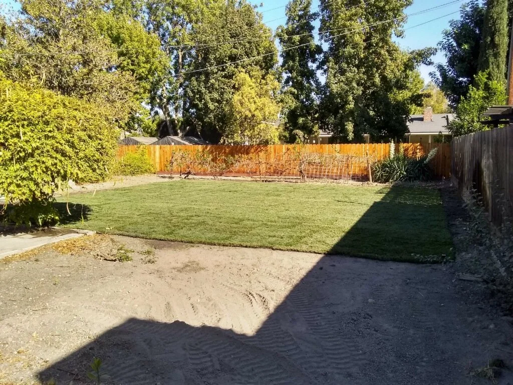 Backyard with new grass, trees, and wooden fence, with a shadowed area in the foreground.