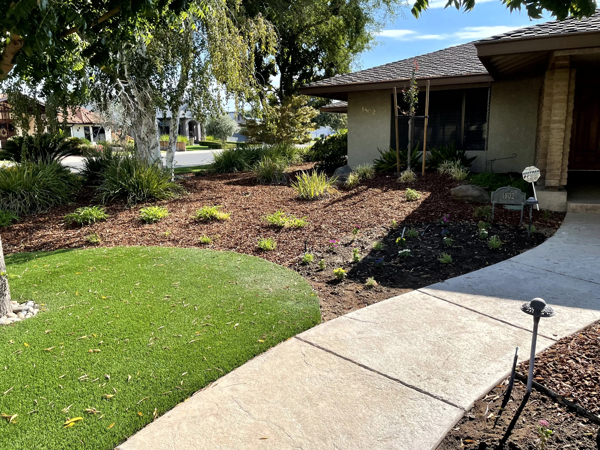 Front yard with a concrete walkway, green lawn, landscaped garden beds with small plants and bushes, a large tree on the left, and a house with a tiled roof on the right side.