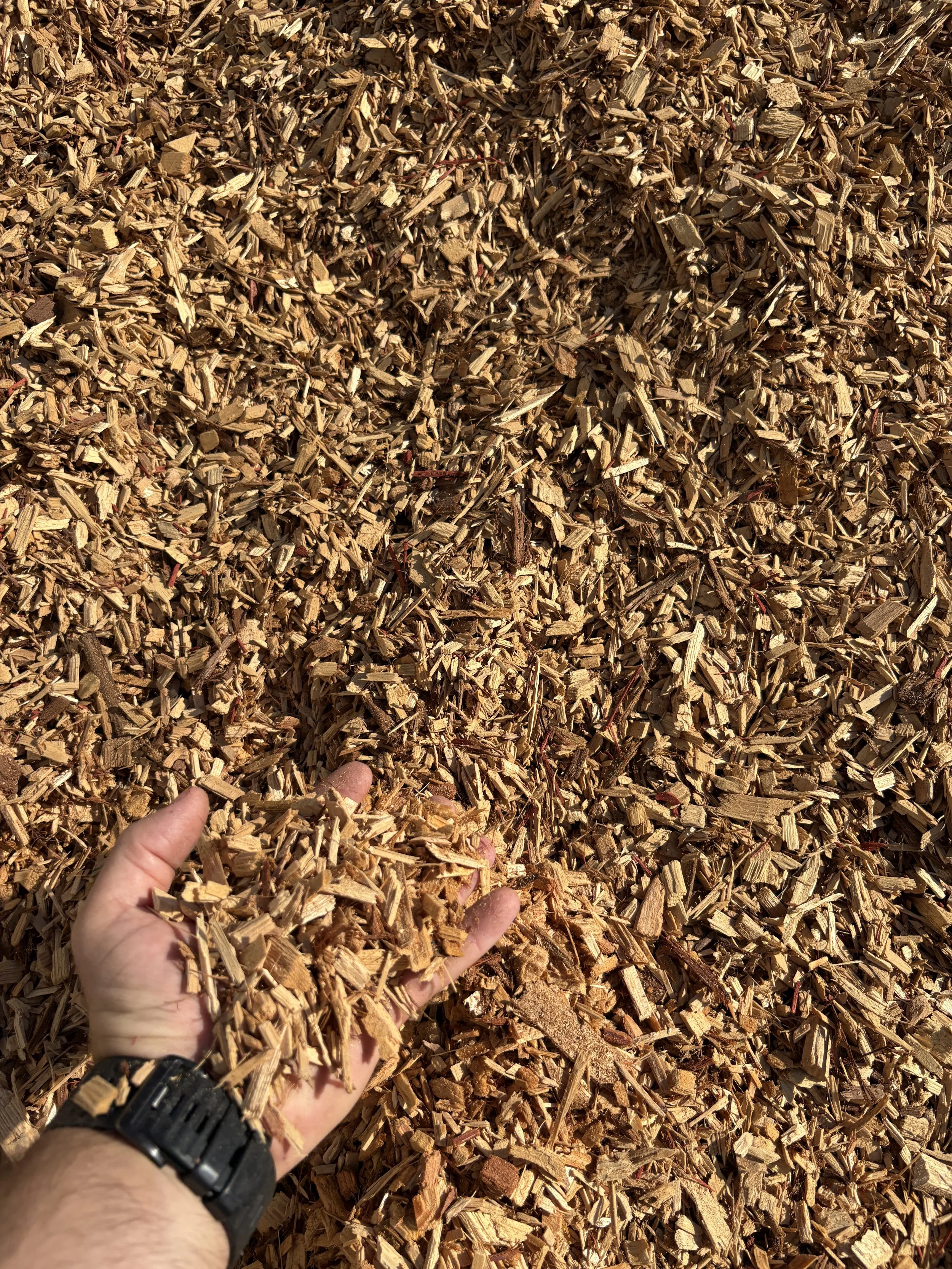 A person holding small wood chips or mulch over a large pile of similar wood chips or mulch outdoors.