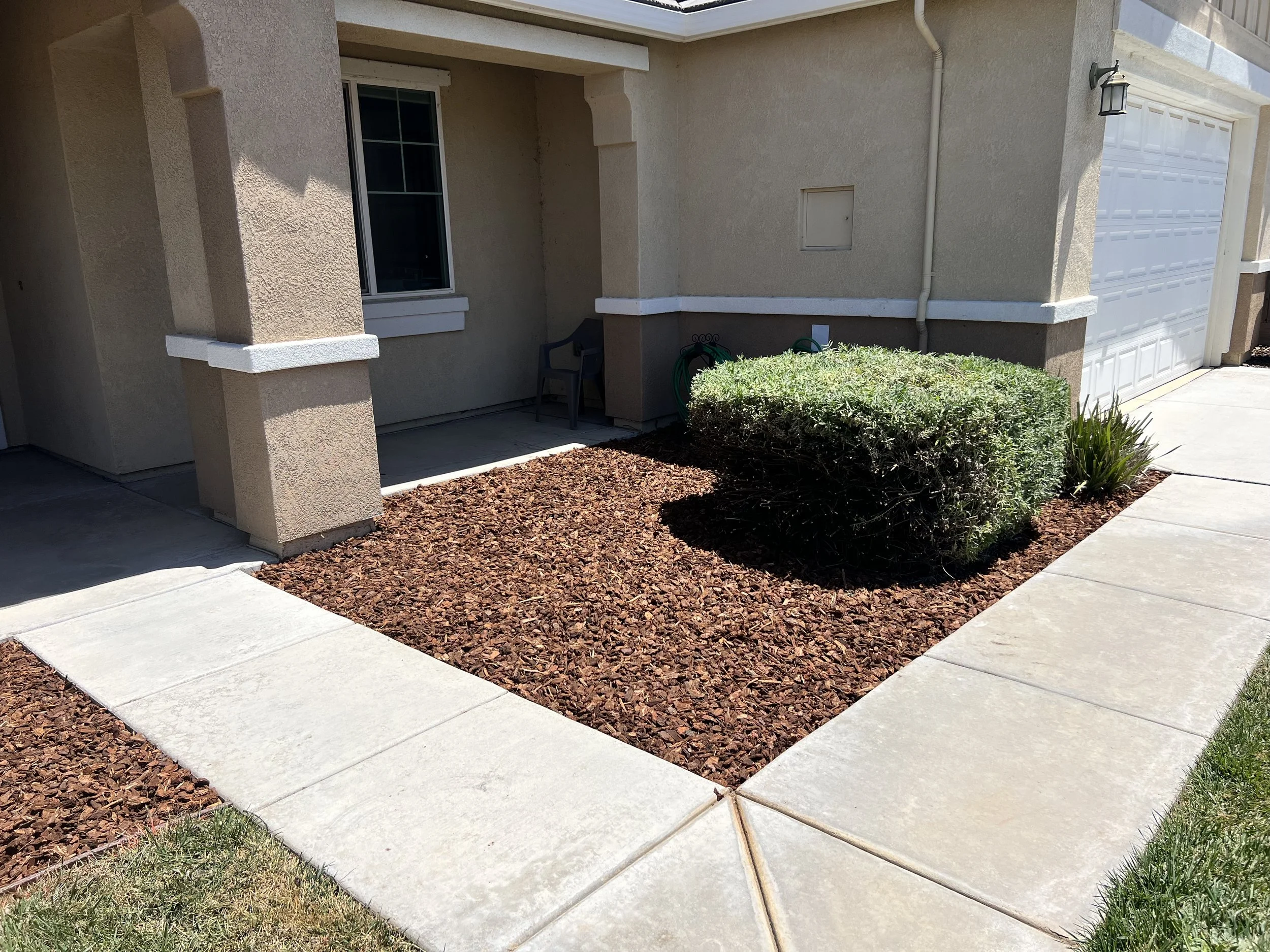 Front yard with concrete sidewalk, mulch bed, and shrubbery in front of a beige house with a window and garage door.