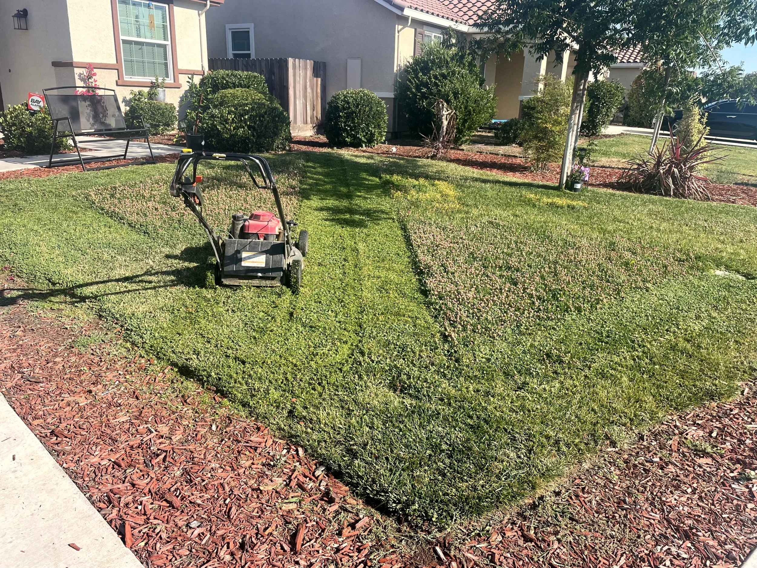 A lawn mower on freshly cut grass in a residential front yard with landscaping, bushes, and a house in the background.