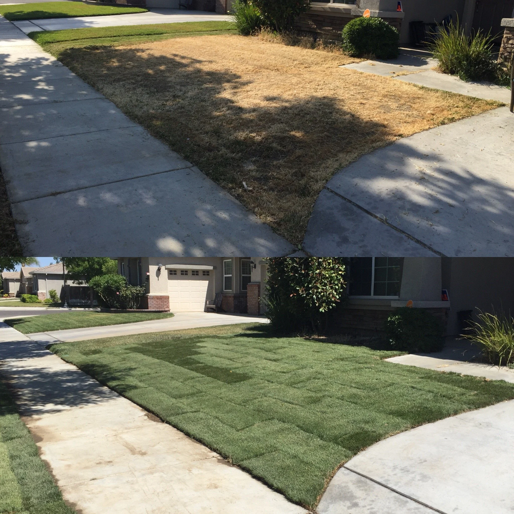 The images show a before and after comparison of a front yard. The top image depicts a patchy, brown lawn with a cracked concrete sidewalk, while the bottom image shows the same yard with newly laid, vibrant green sod and a well-maintained lawn.