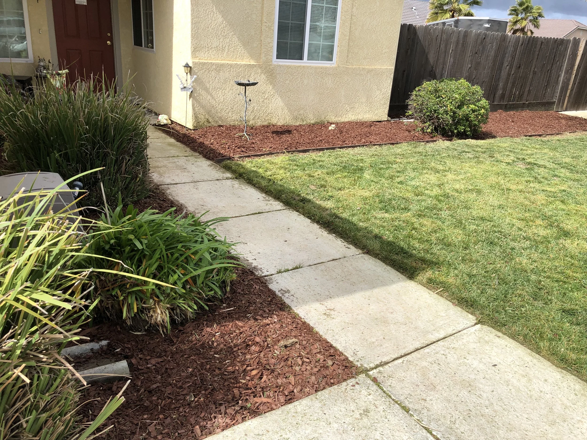 A concrete sidewalk runs along the front of a yellow house with a red door. There are green bushes, a small landscaped area with red mulch, and a grassy lawn. A wooden fence is at the back, with some palm trees visible.