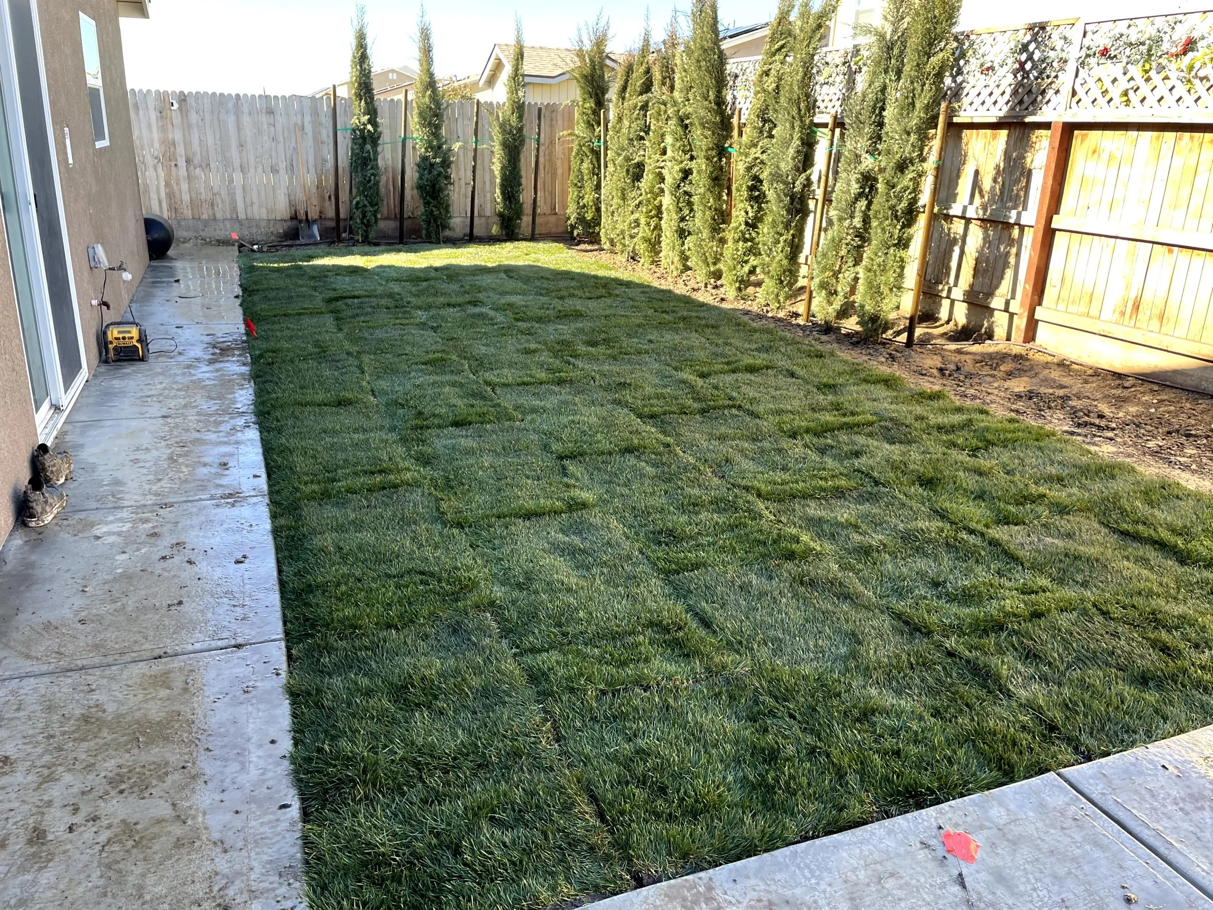 A backyard with freshly laid sod grass, partially installed, next to a concrete patio, bordered by a wooden fence with tall evergreen trees.