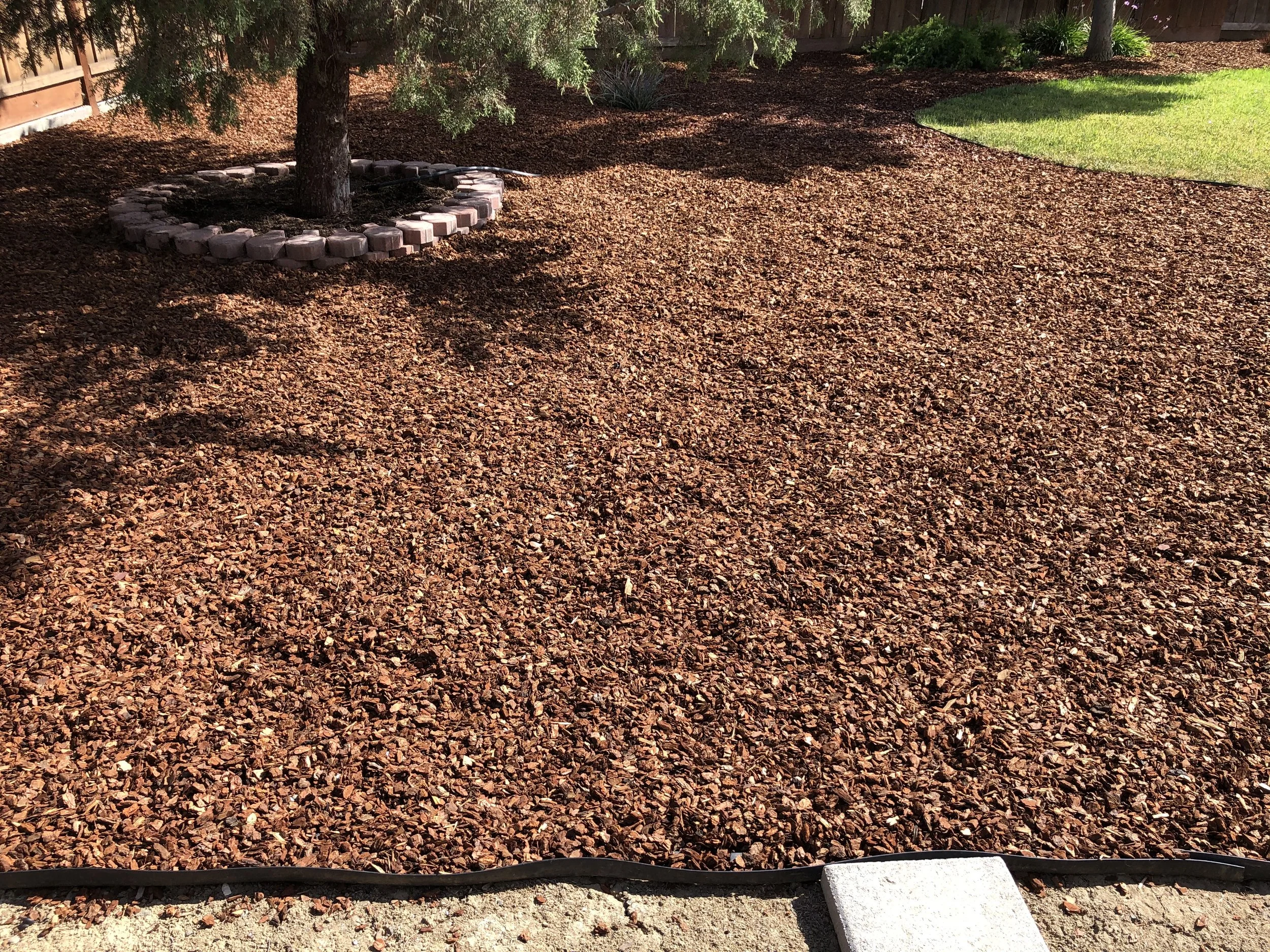 A backyard garden with a tree surrounded by a border made of wood blocks, mulch spread on the ground, and a small patch of green grass.