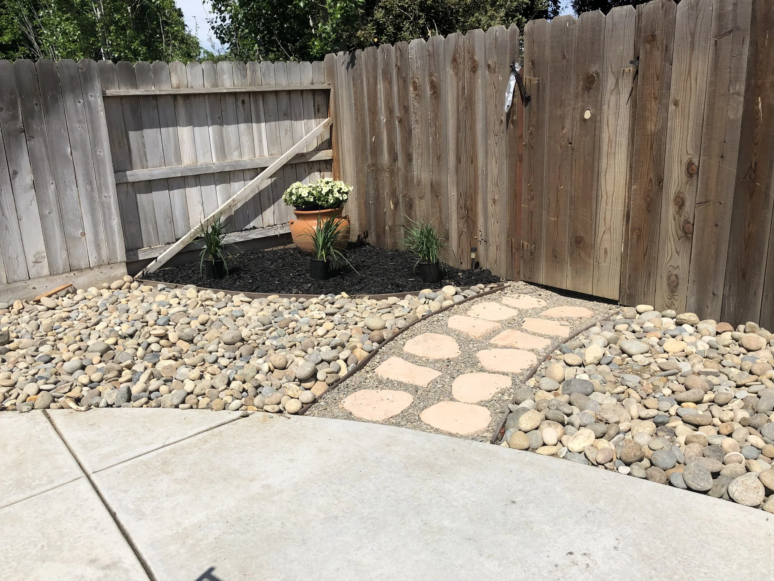 A backyard with a wooden fence, a small garden bed with three plants, a large terracotta pot with white flowers, a pathway made of irregularly shaped stone slabs, surrounded by small round rocks, and a concrete patio in the foreground.