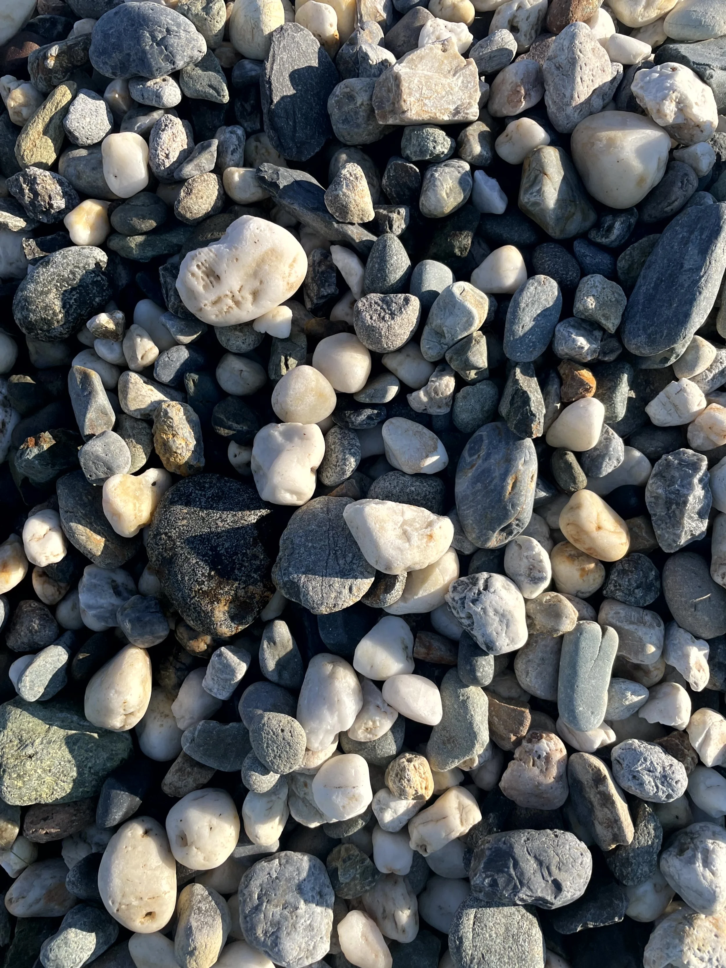 Close-up view of a variety of small, smooth stones and pebbles in different colors including white, gray, and black.