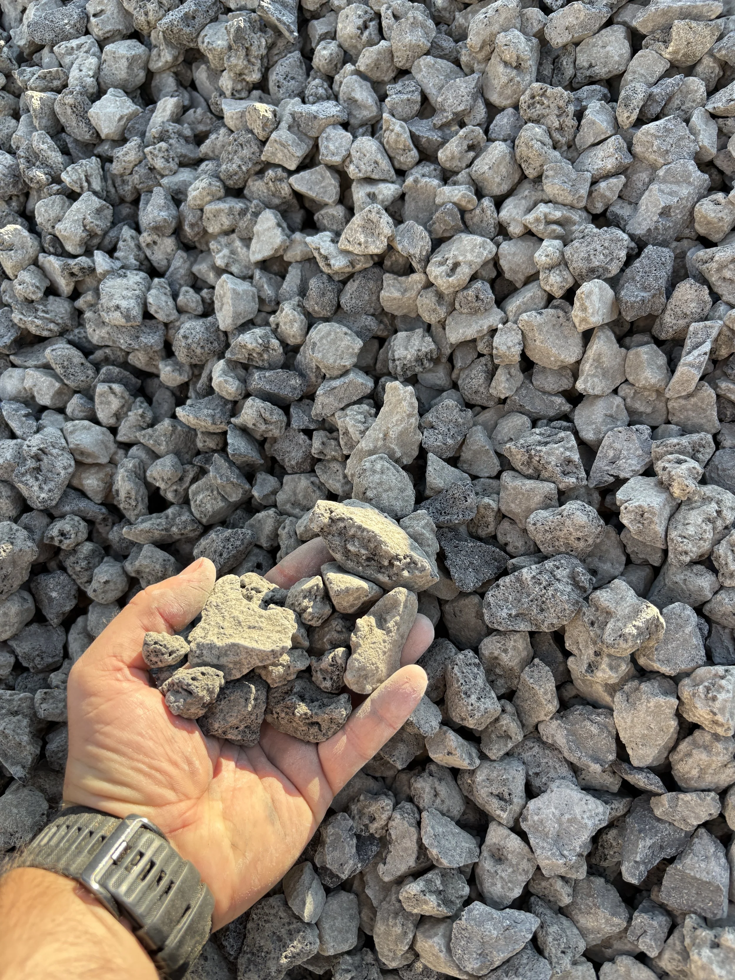 A hand holding a handful of small grey rocks over a larger pile of similar rocks.