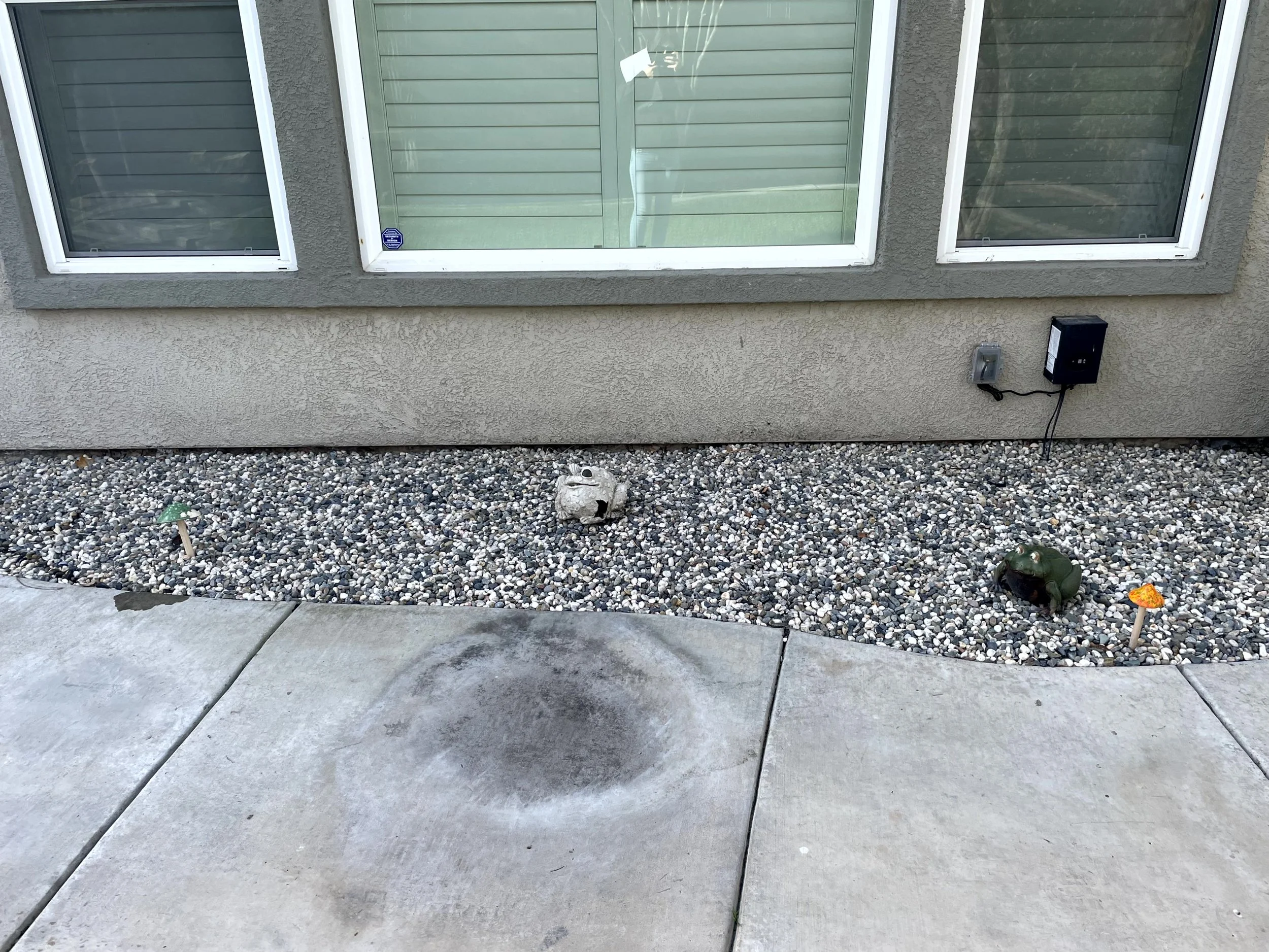 Decorative garden with small rocks, two frog statues, and small mushroom and pumpkin decorations in front of a house with three windows.