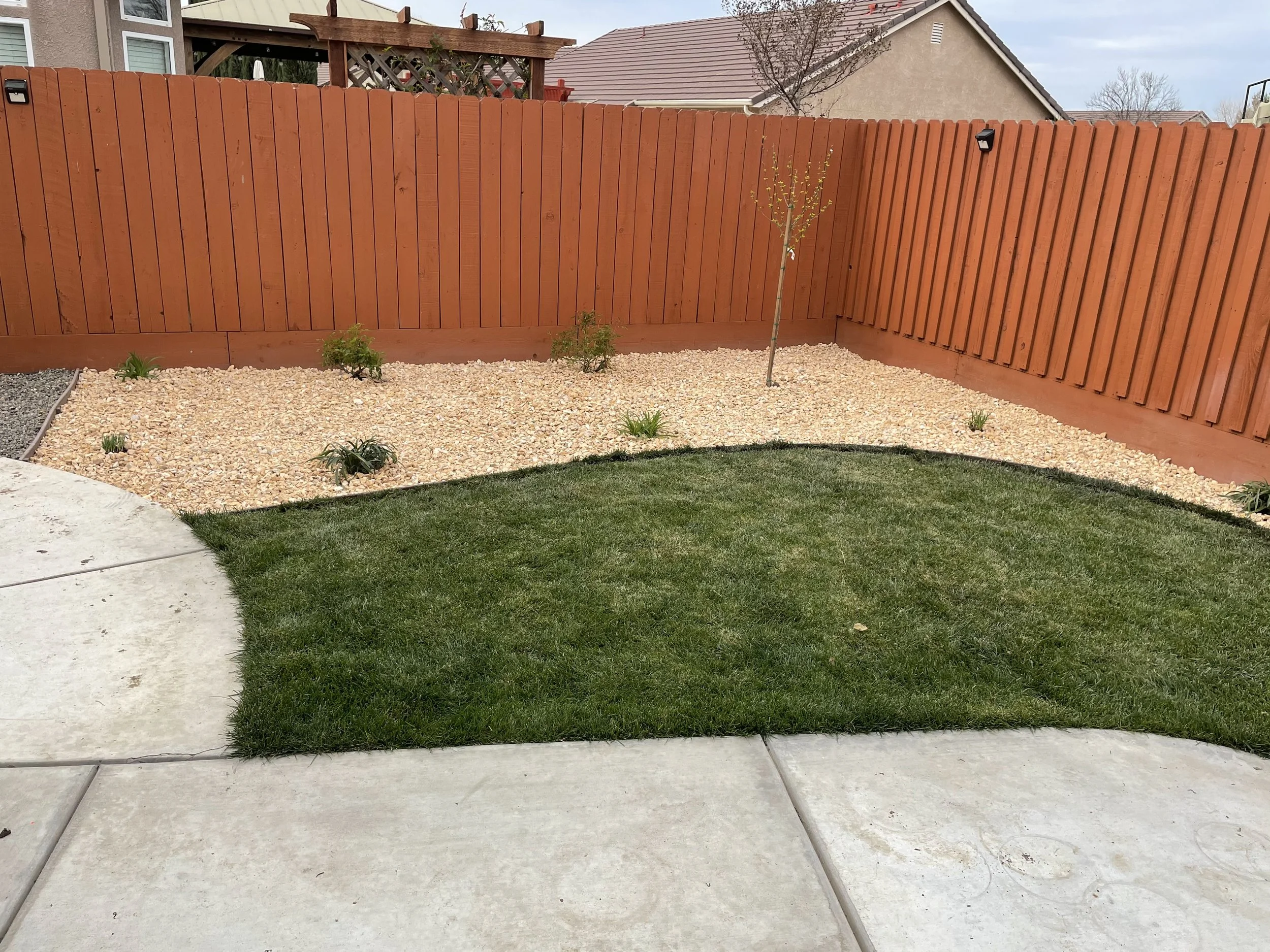 Backyard with a small curved patch of green grass, surrounded by a concrete patio and a gravel garden bed with small plants and a young tree, enclosed by a tall wooden fence.