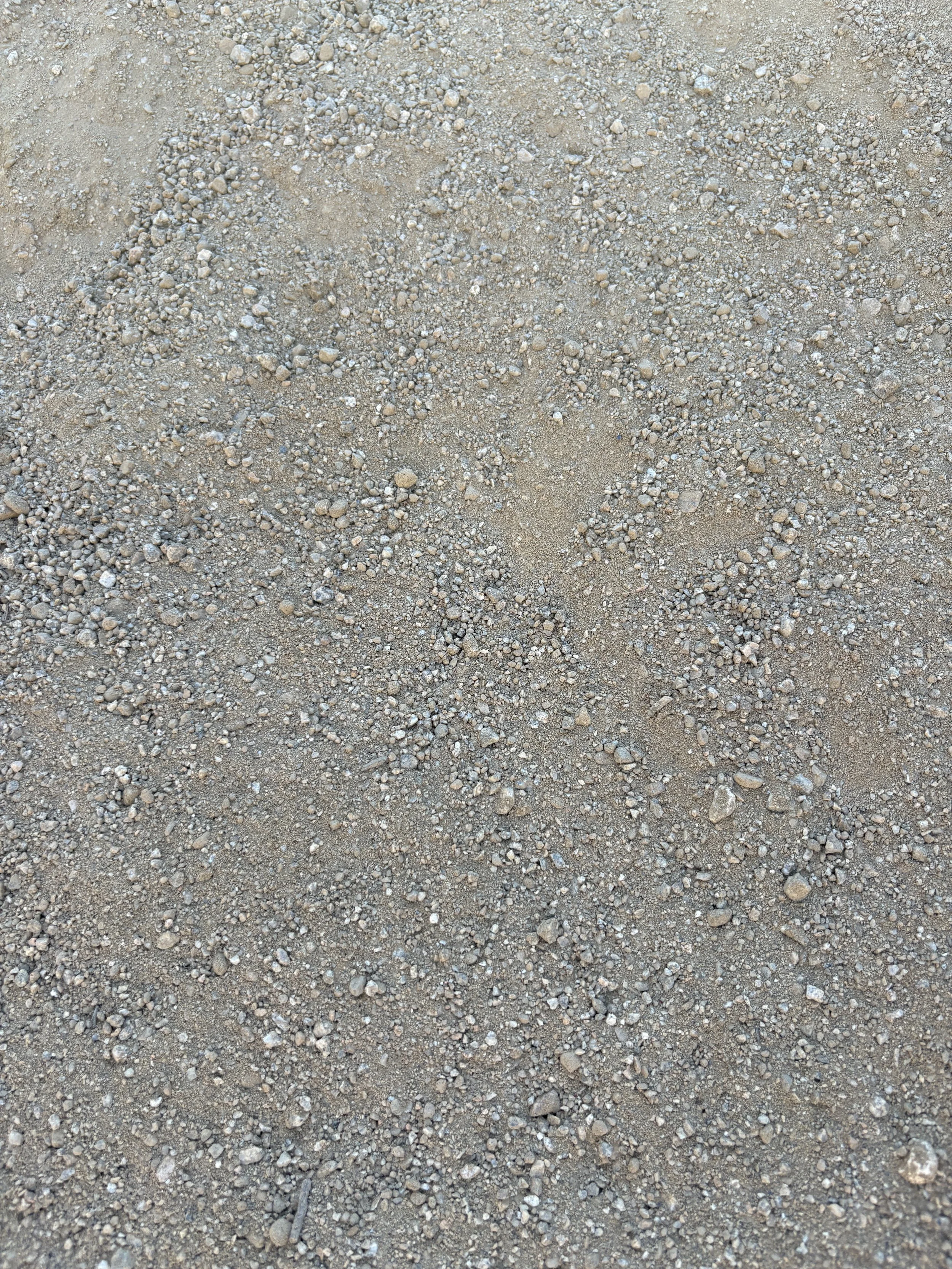 Close-up of sandy ground with small pebbles and grains.
