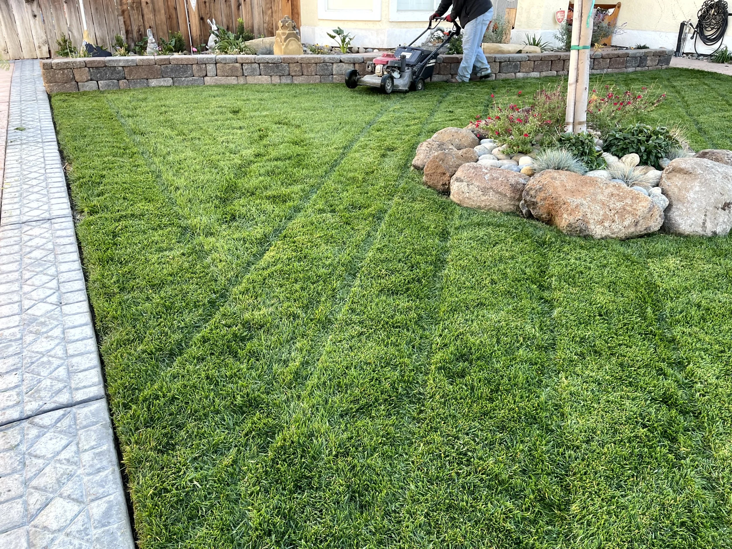 Person using lawn mower on a landscaped front yard with a flower bed surrounded by large rocks, a stone border, and a concrete pathway.