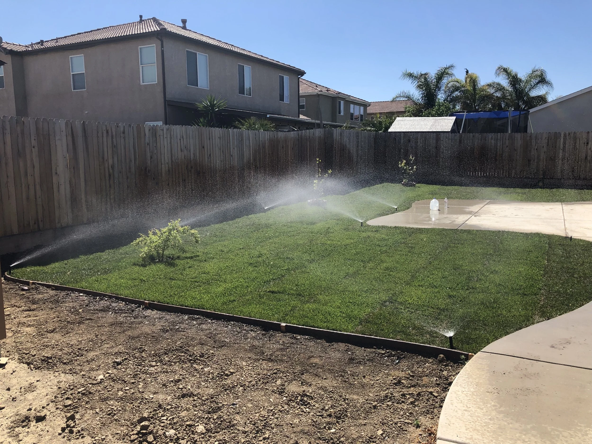 A backyard with a lawn being watered by sprinklers, with a concrete patio and a wooden fence, houses, and palm trees in the background under a clear blue sky.