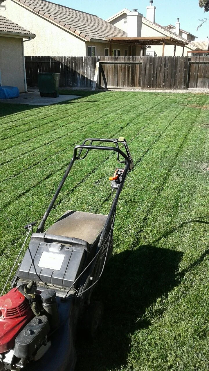 Lawnmower on a freshly mowed grassy backyard with houses, a wooden fence, and a small covered patio in the background.