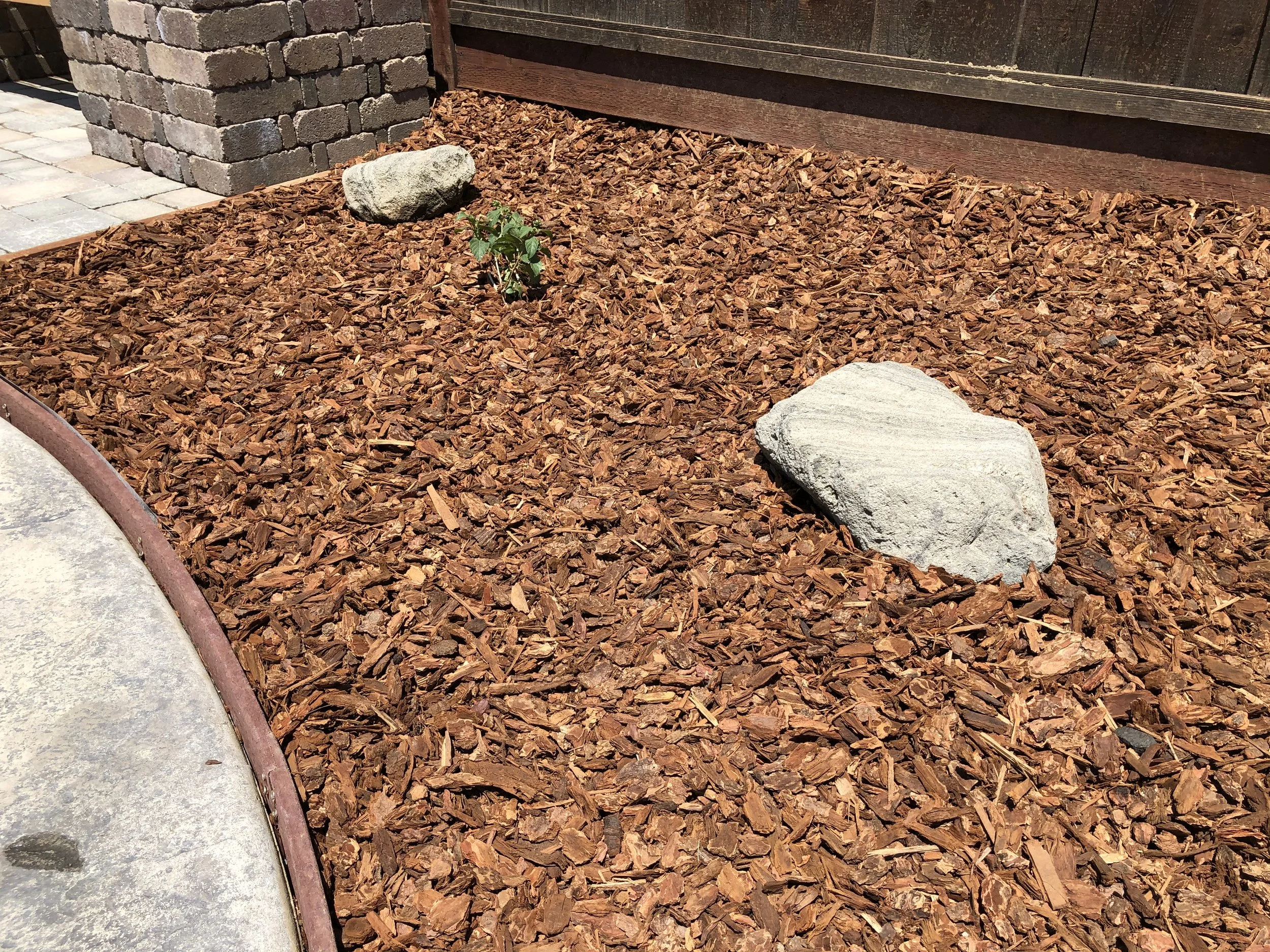 A landscaped yard bed covered with brown wood mulch, featuring two large gray rocks and a small green plant, edged by a metal border, with a brick pathway and wooden fence in the background.