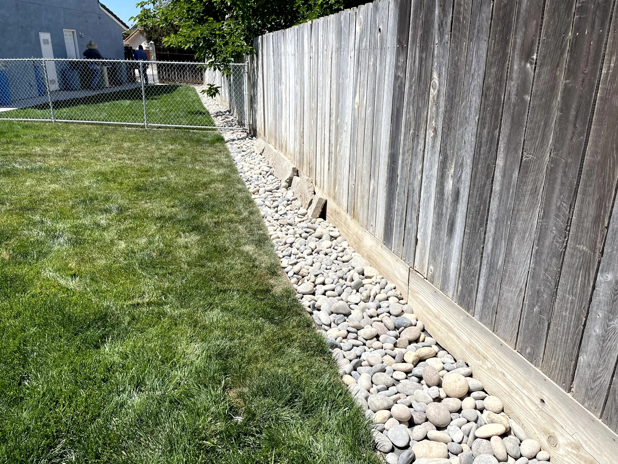 A backyard with green grass, a chain-link fence, and a wooden fence with a strip of decorative rocks along the base.