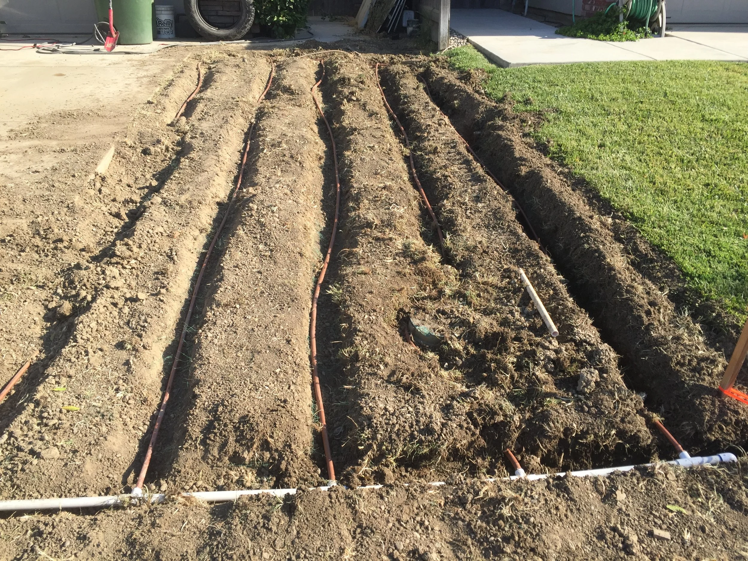 Garden bed with three rows of irrigation pipes, soil prepared for planting, neighboring grassy lawn and house sidewalk.