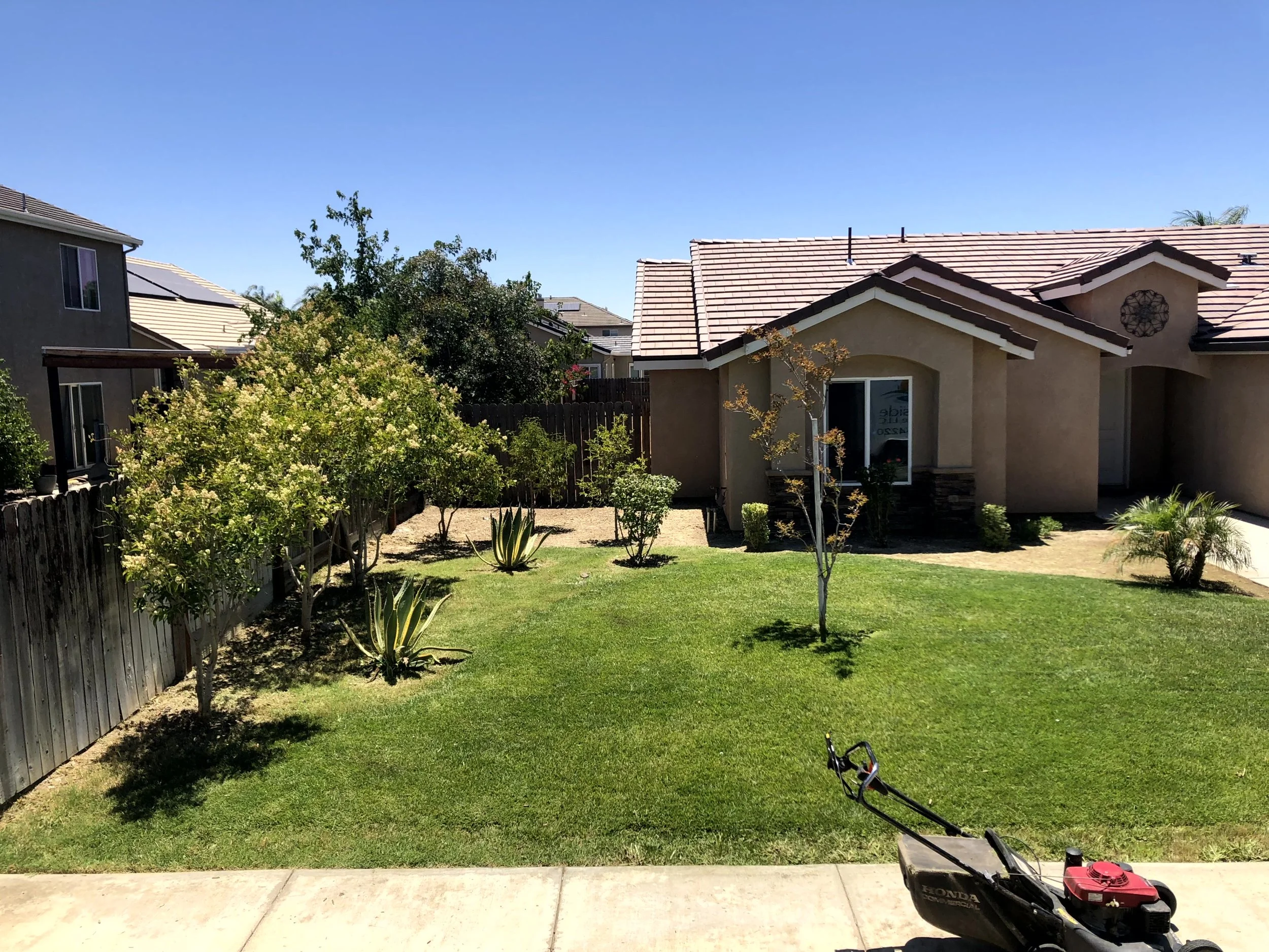 View of a backyard with a well-maintained lawn, small trees, bushes, and a patio, with neighboring houses visible in the background under a clear blue sky.