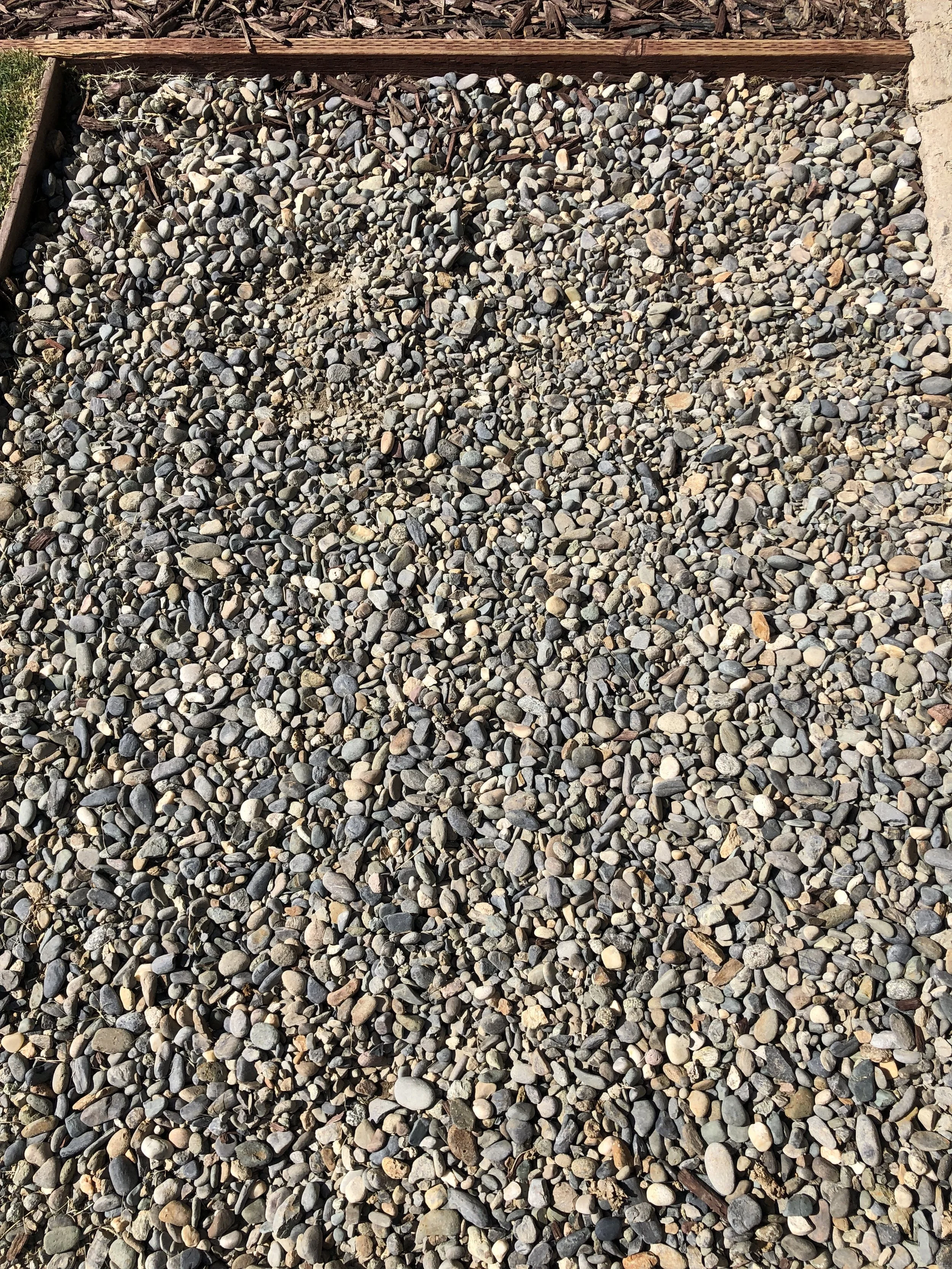 Close-up of a gravel pathway with small, rounded stones, bordered by a wooden frame and a concrete edge.