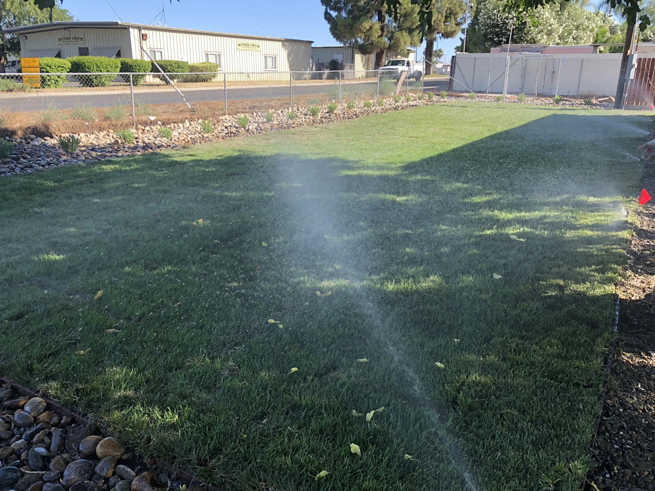 Sprinkler watering a lush green lawn with a gravel border, fence, and buildings in the background.