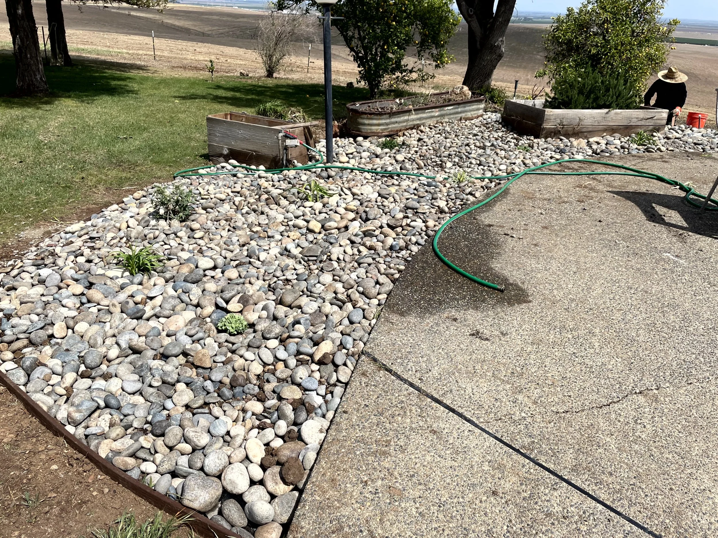 A garden scene with a rock mulch bed containing small green plants, next to a concrete patio. There are raised garden beds made of wood and metal, a person with a wide-brimmed hat and black clothing working in the background, and a garden hose lying