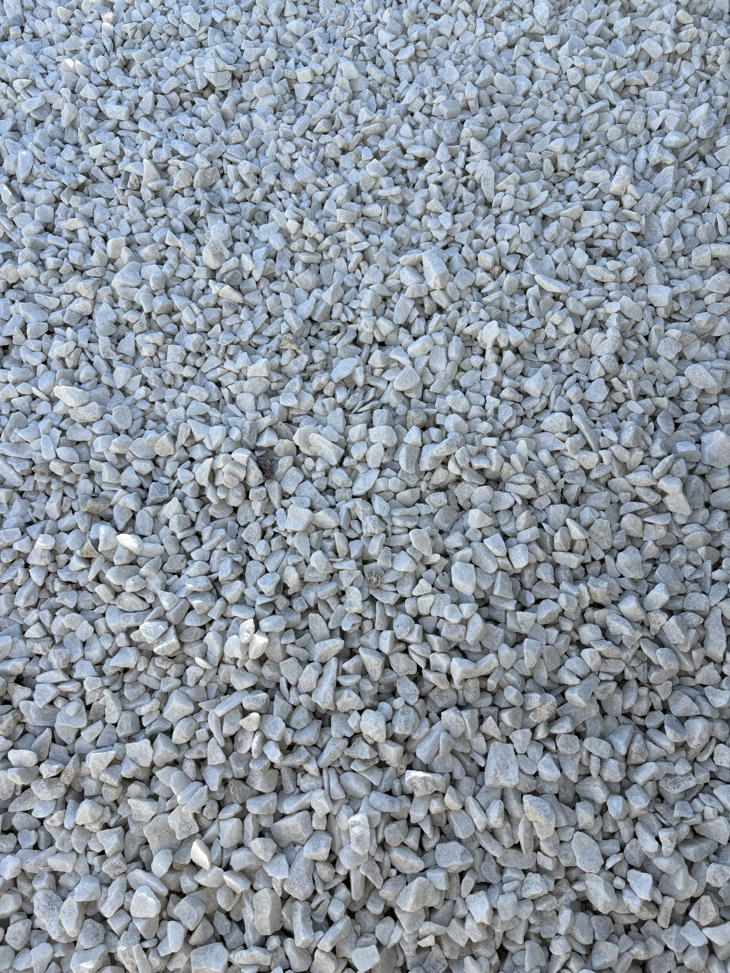 A close-up view of numerous small, gray gravel stones.