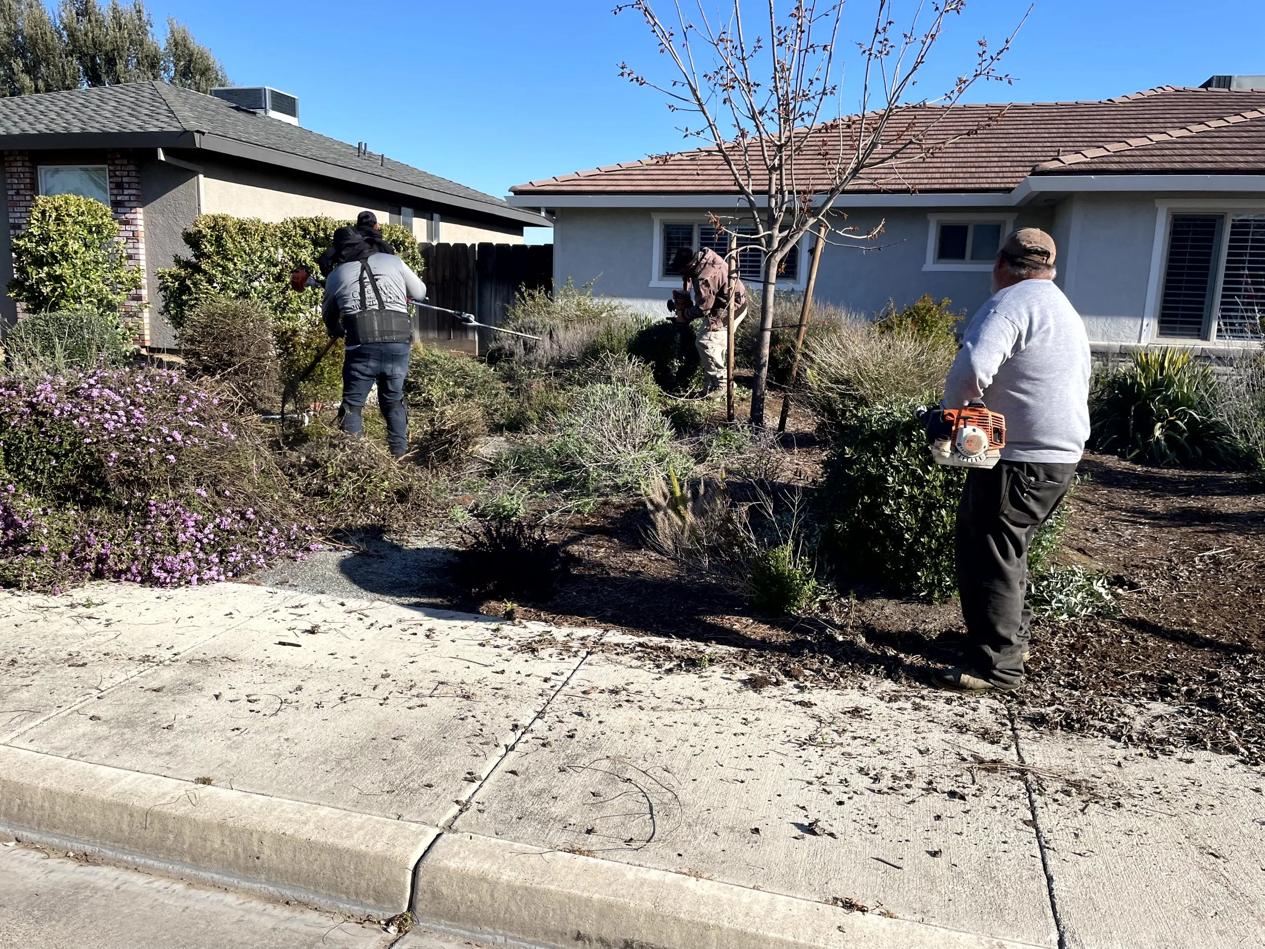 People working on landscaping in a suburban yard with various plants, shrubs, and a small tree, in front of residential houses under a clear blue sky.