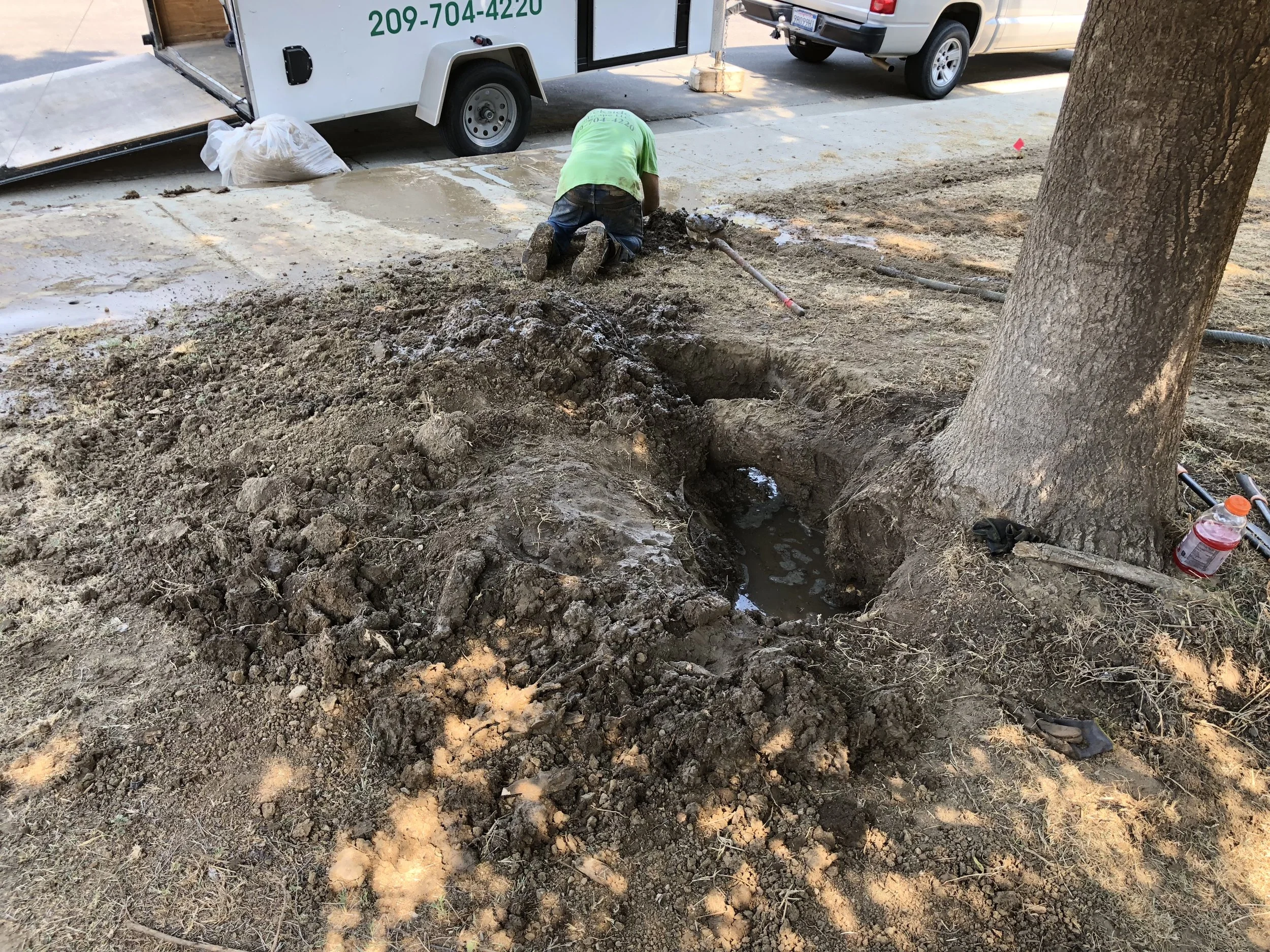 A worker kneels by a freshly dug hole at the base of a tree on a city sidewalk, with a utility hole and water in the trench, surrounded by dirt and construction tools. A truck and another vehicle are parked nearby.