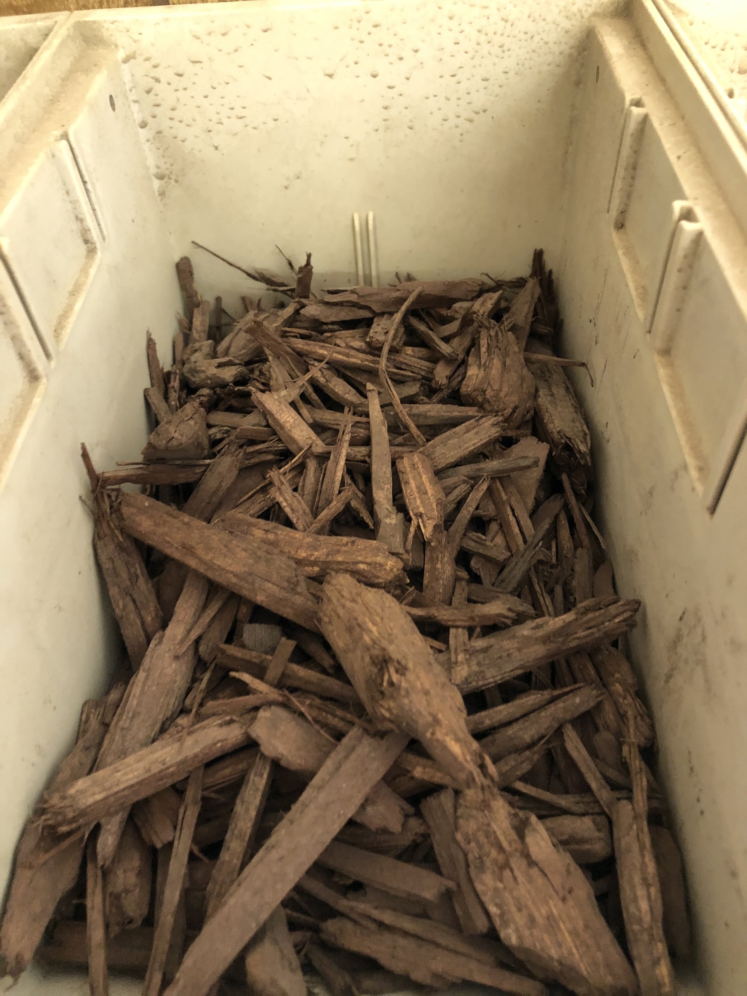 A close-up photo of a white plastic container filled with dry, brown, broken bark or wood chips.