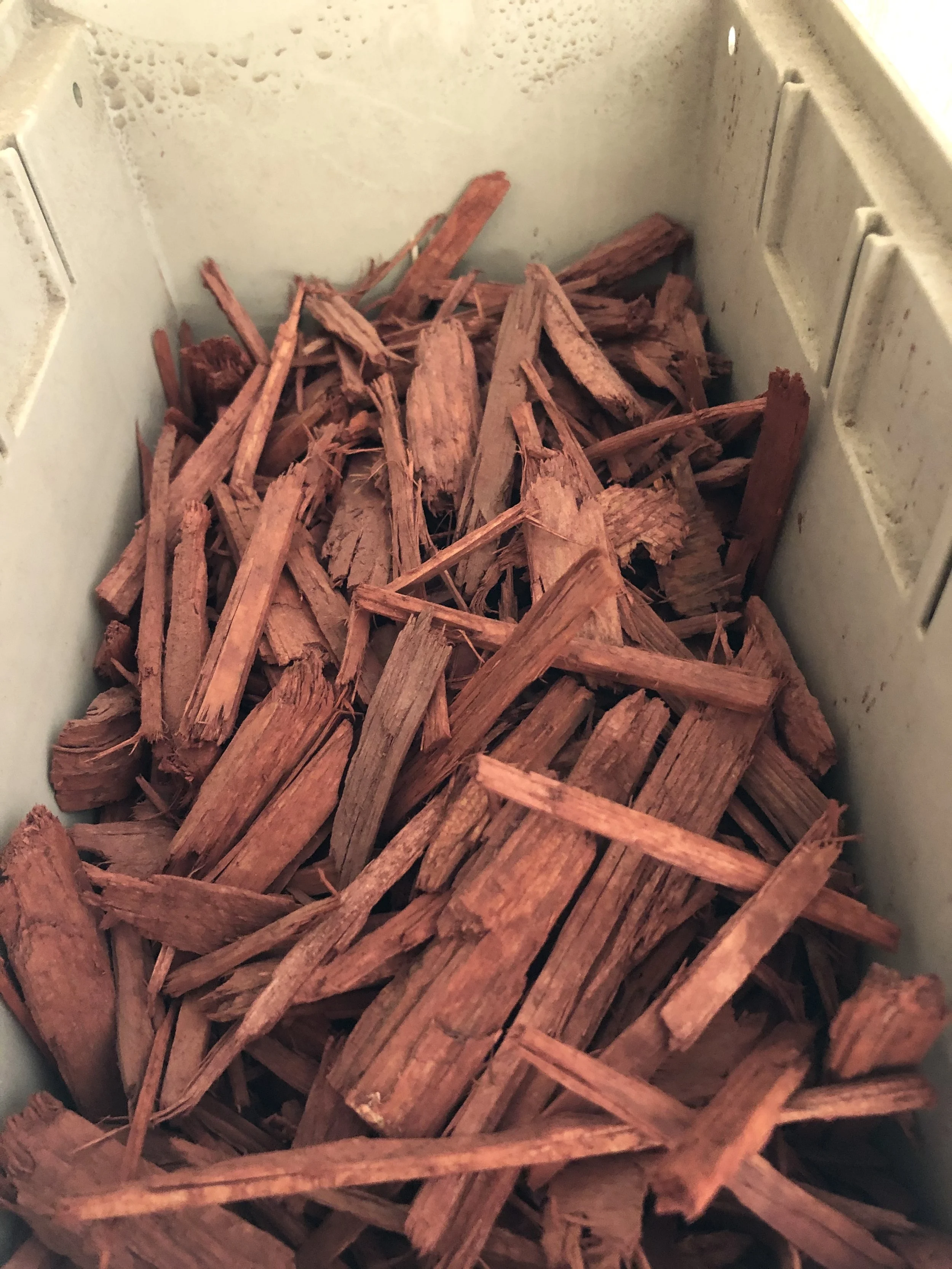 Pile of chopped wood pieces inside a cooler