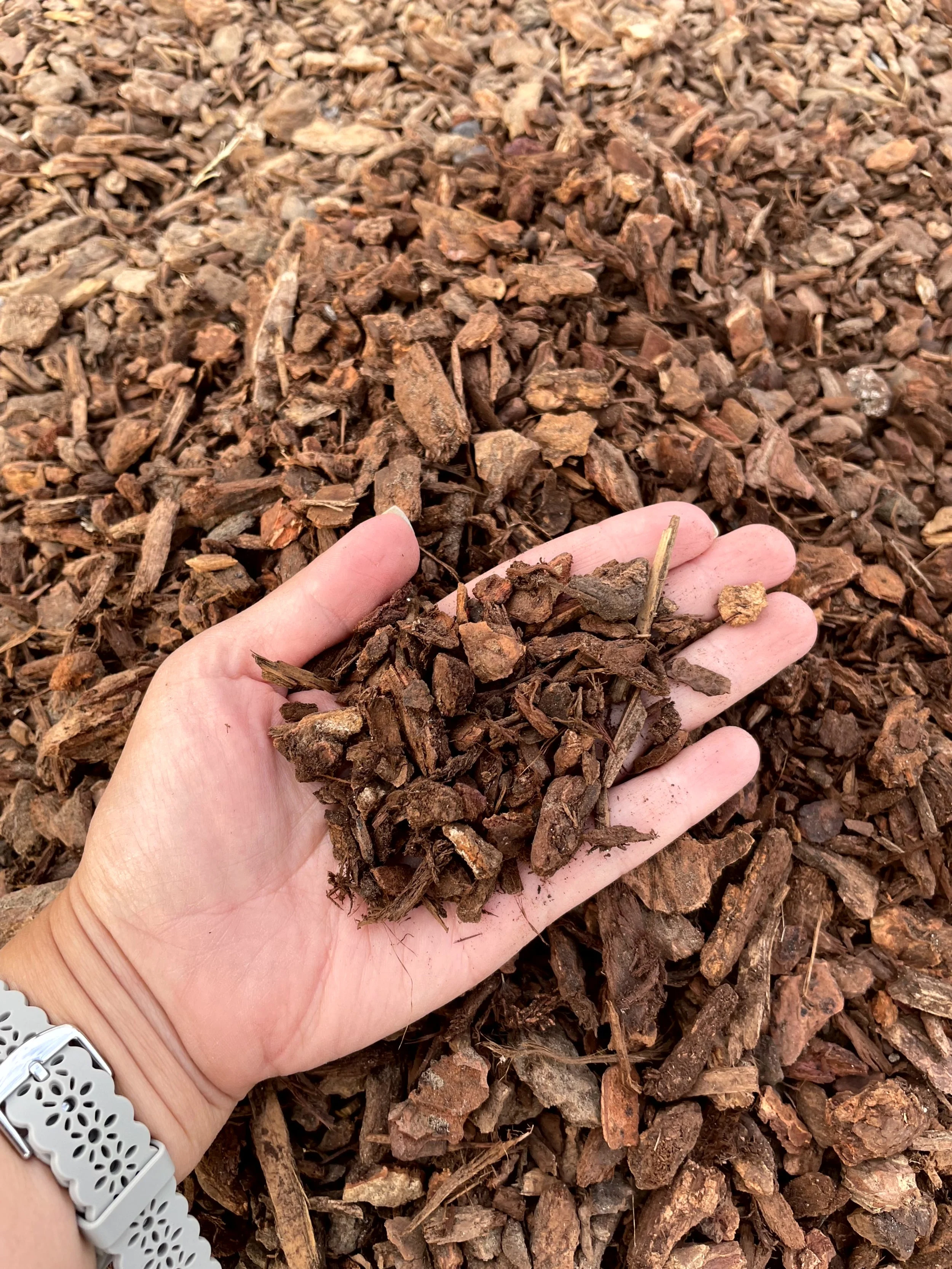 Hand holding a handful of wood chips over a pile of wood chips.