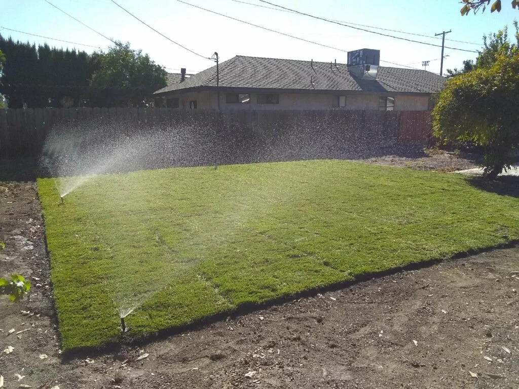 A backyard with newly laid sod being watered by sprinklers.